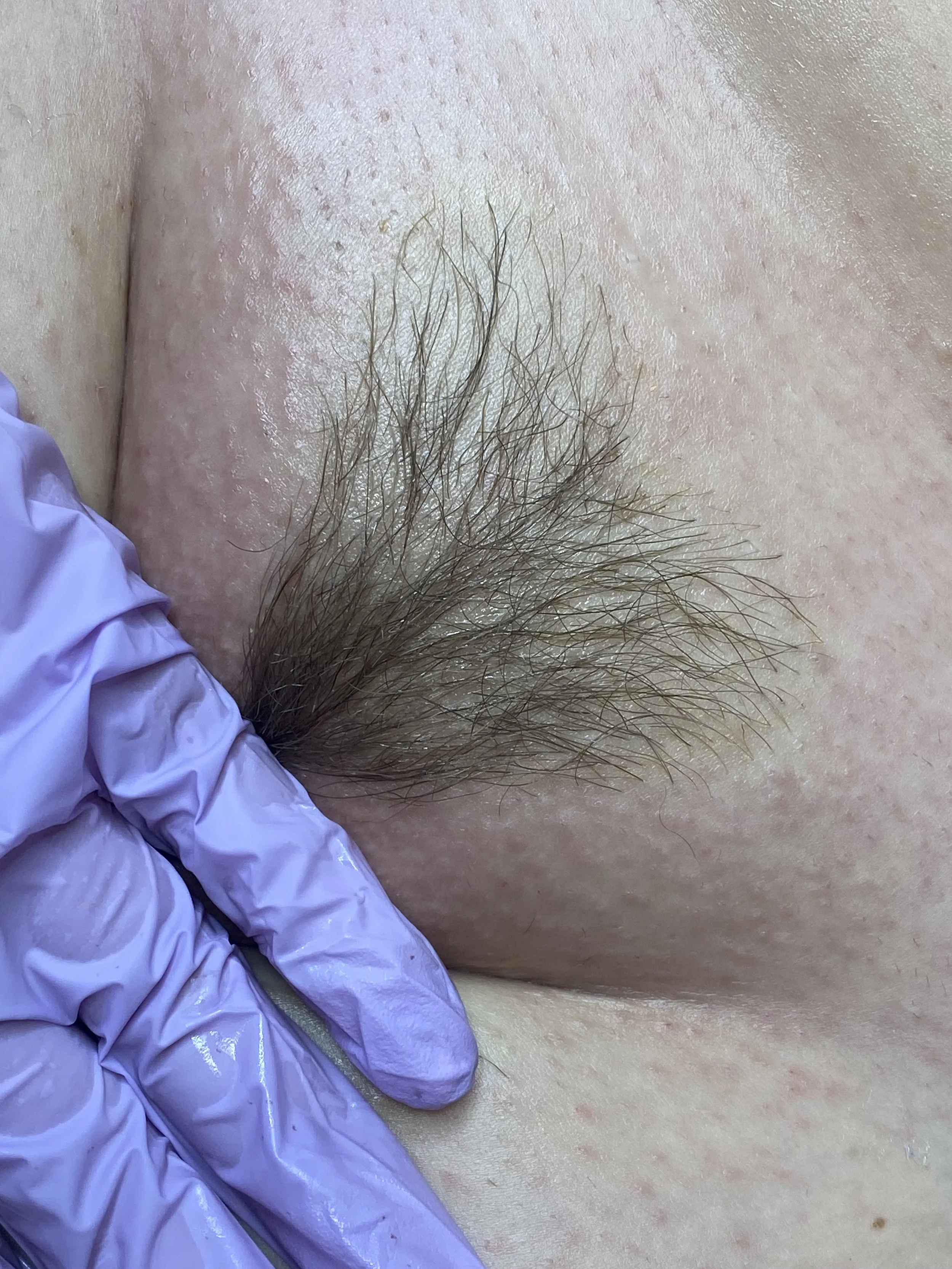 brazilian and full body wax specialist in arlington texas also offering brow lamination, lash lifts and underarm and intimate brightening male and female waxing