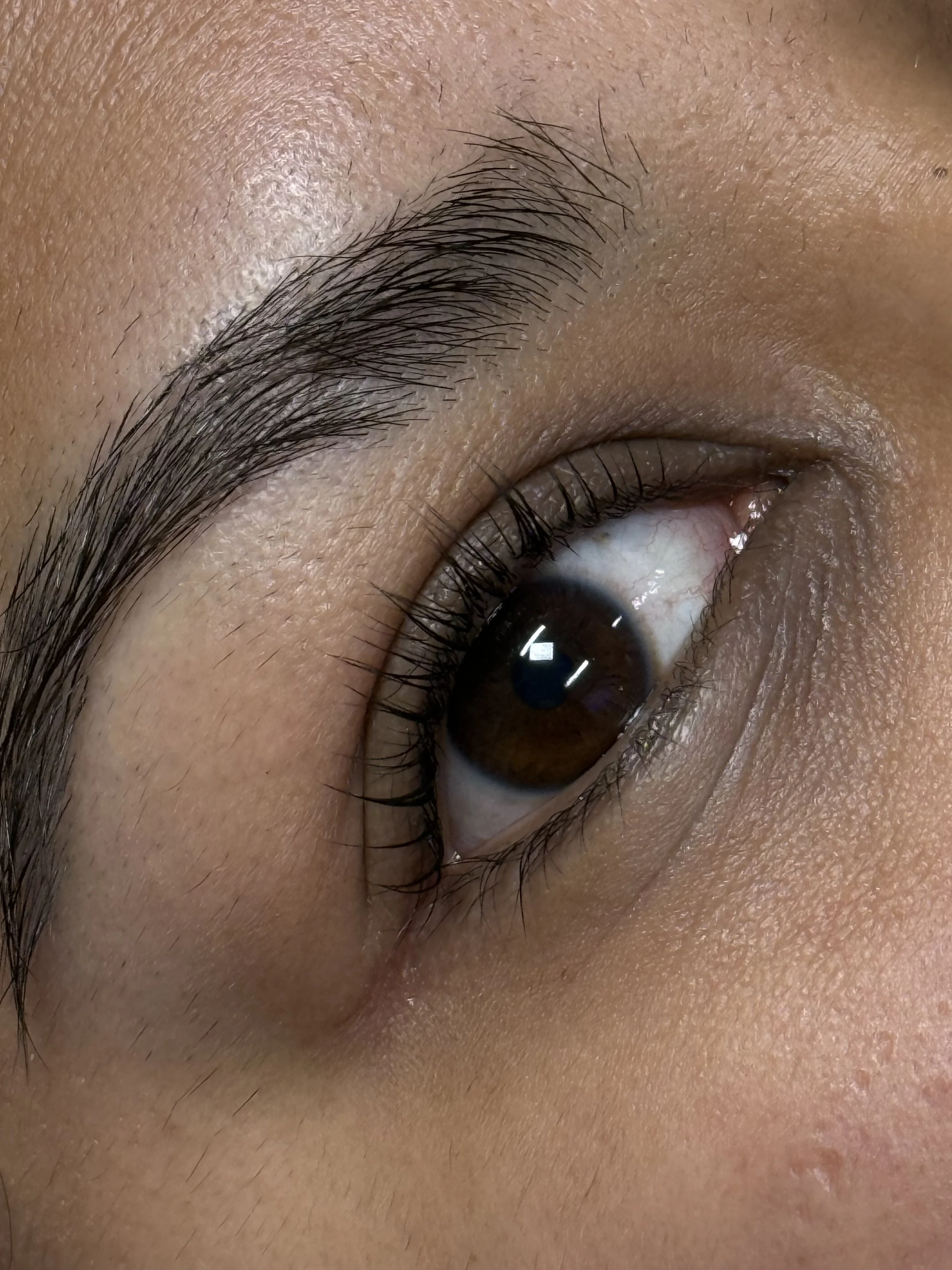 lash lift in arlington texas