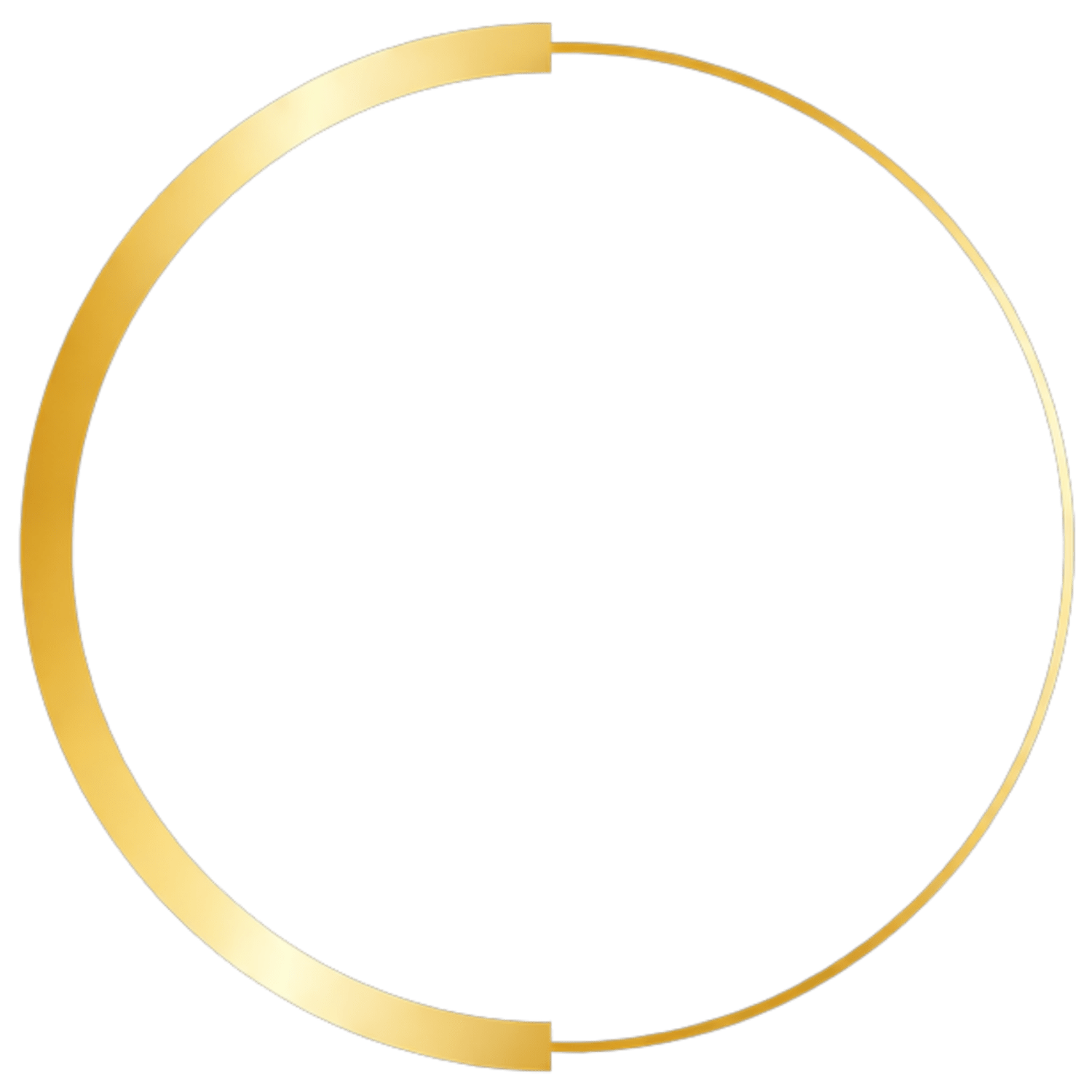  CONNECTIVE PERFORMANCE THERAPY