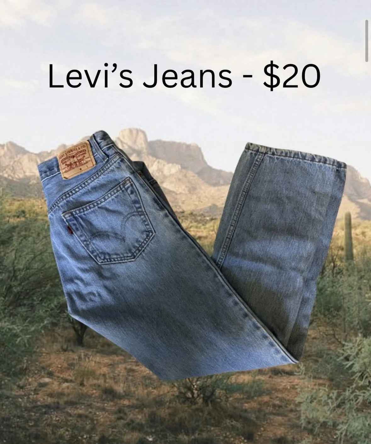 Blue Levis Jeans