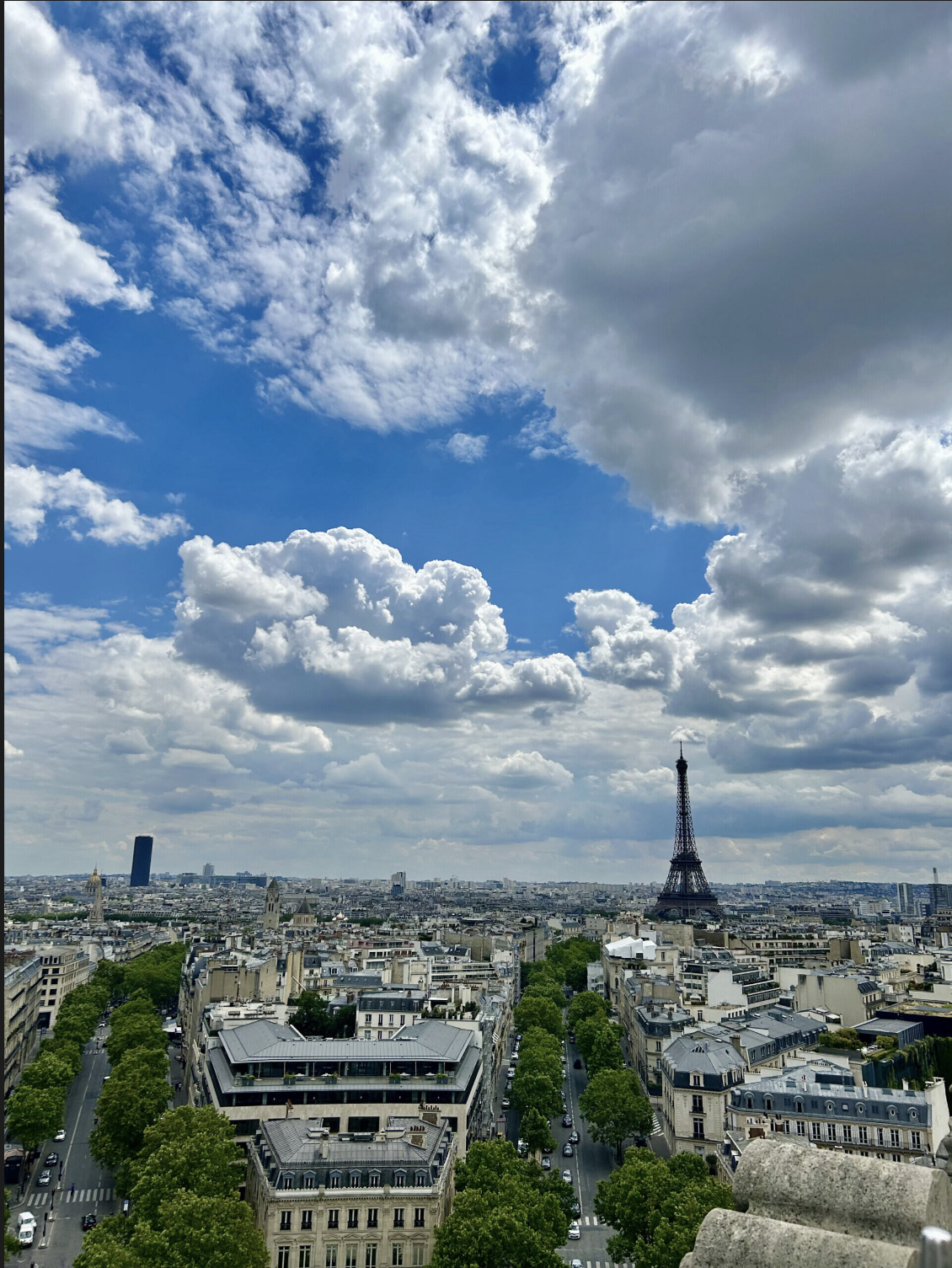 View of Paris cityscape with Eiffel Tower and cloudy sky.