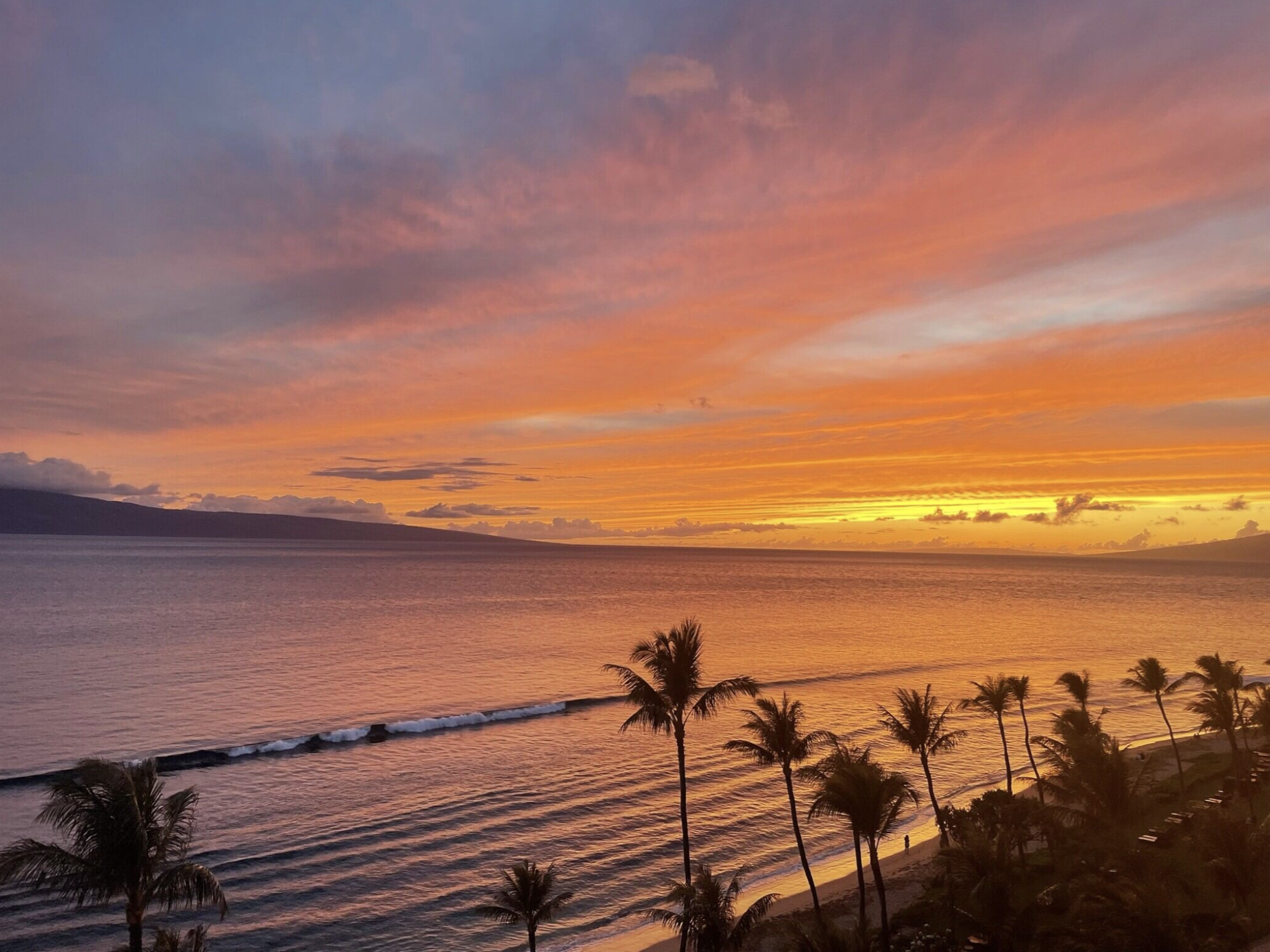 Sunset over a calm ocean with pink, orange, and purple sky, silhouetted palm trees along the shoreline.