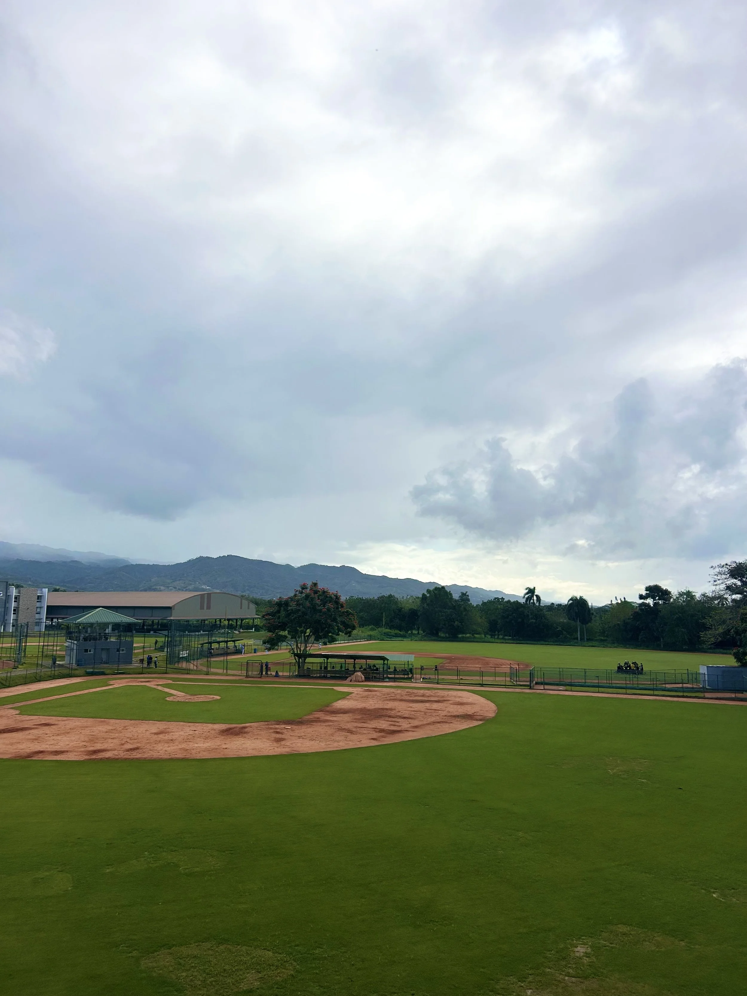 A baseball field with green grass, a dirt infield, and a backdrop of trees, mountains, and a cloudy sky.