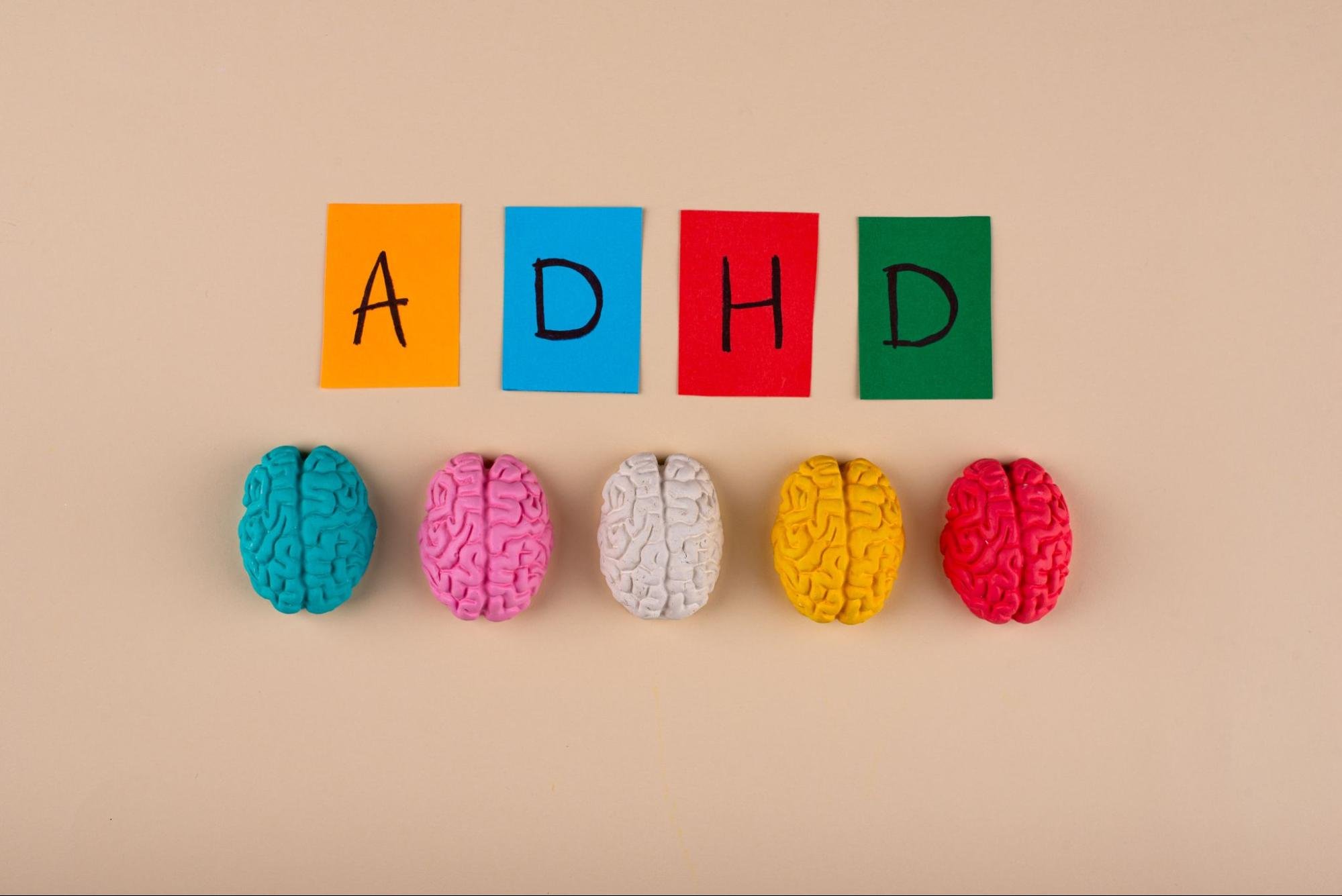 ADHD word next to multi-colored models of a brain. 