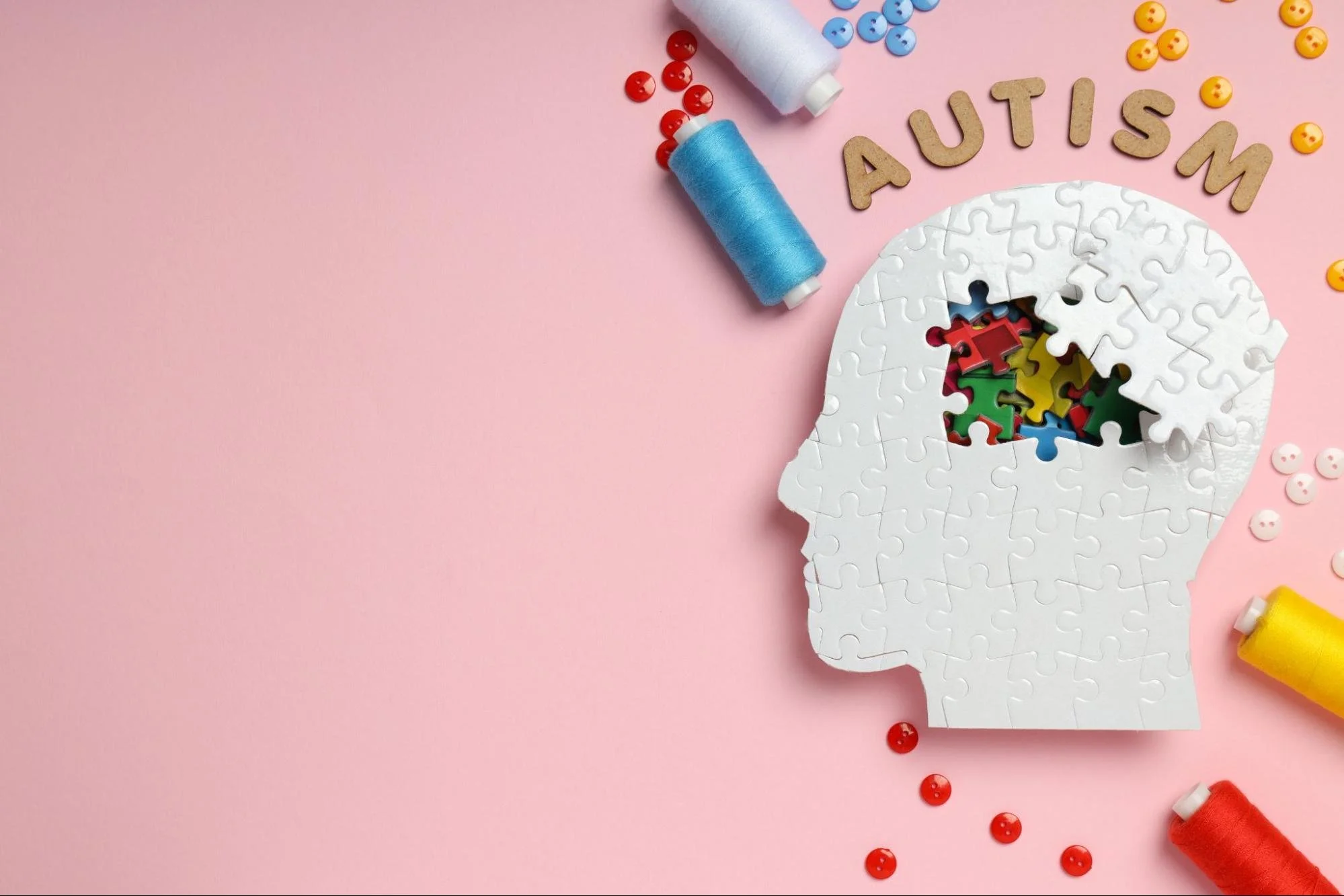 What is the Autism Spectrum?
