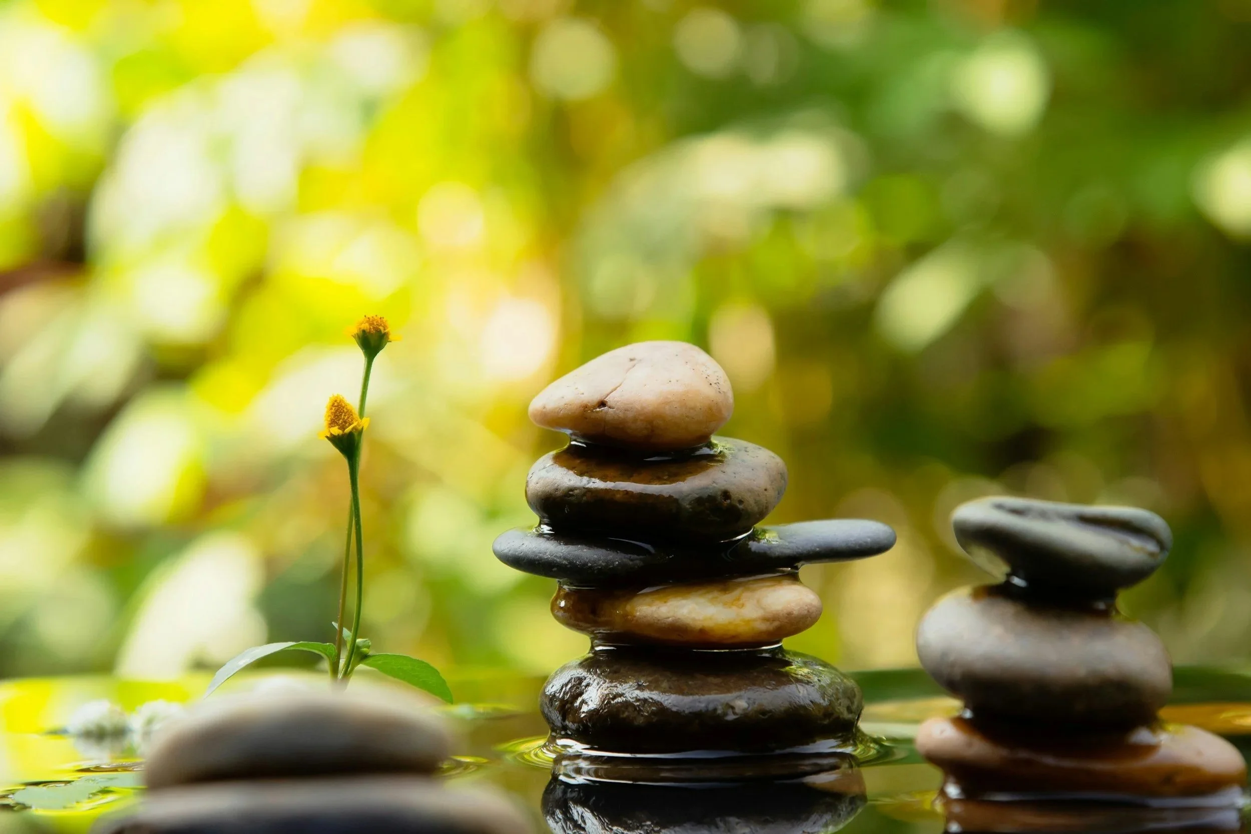 Micro-Moments of Peace : How to Micro-Dose Mindfulness in a Chaotic Day