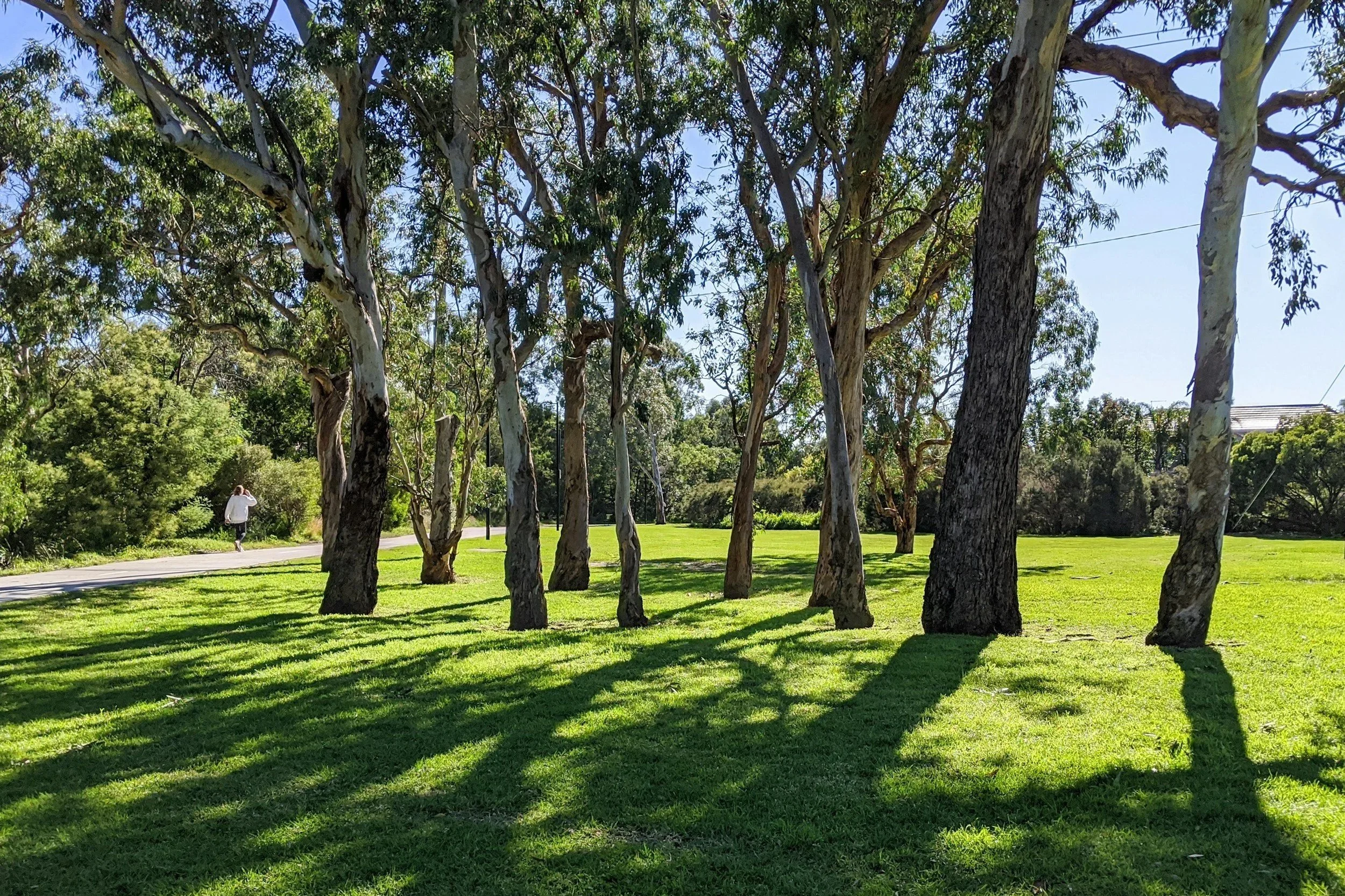 Play as Medicine : Reconnecting with Joy and Unproductive Rest
