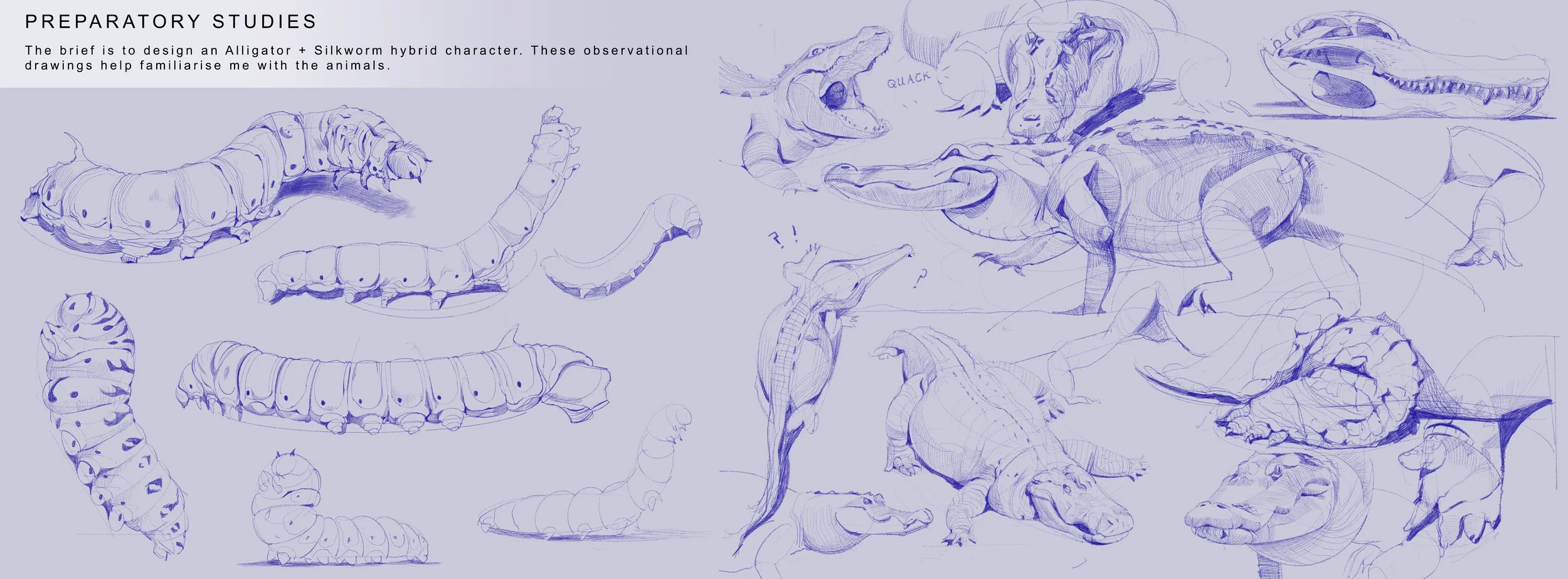 Some observational sketches to warm up for the project