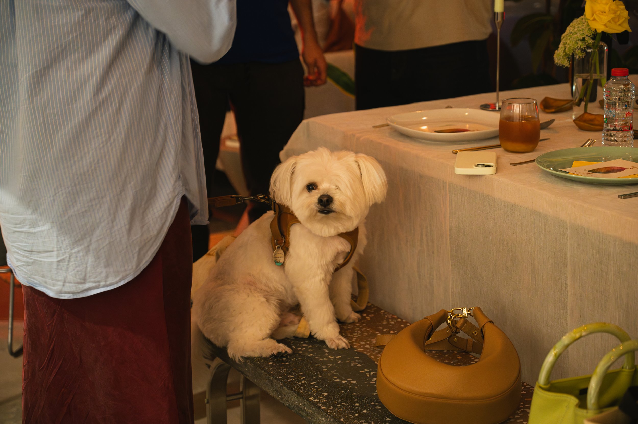 TAK_0783-Enhanced-NR.jpg