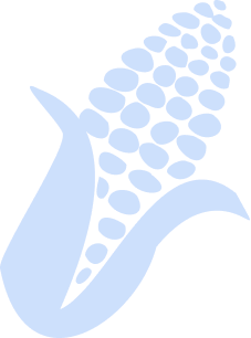 Icon of a Corn Cob from Mexico