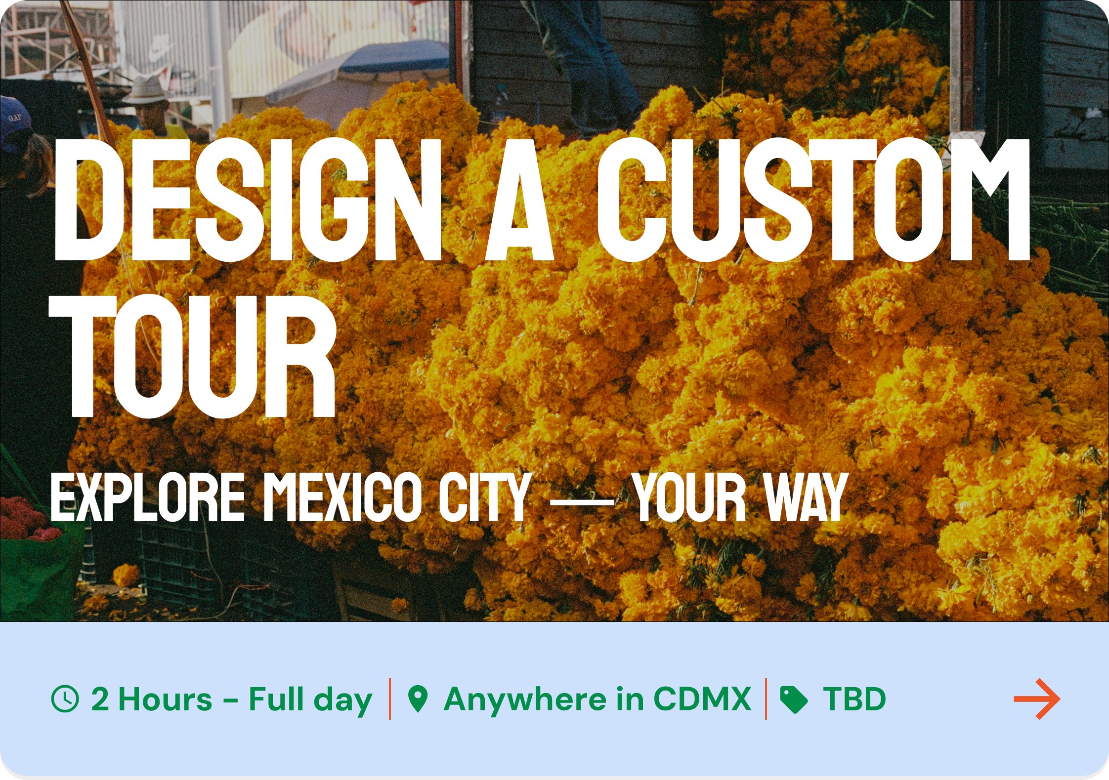 DESIGN A CUSTOM TOUR