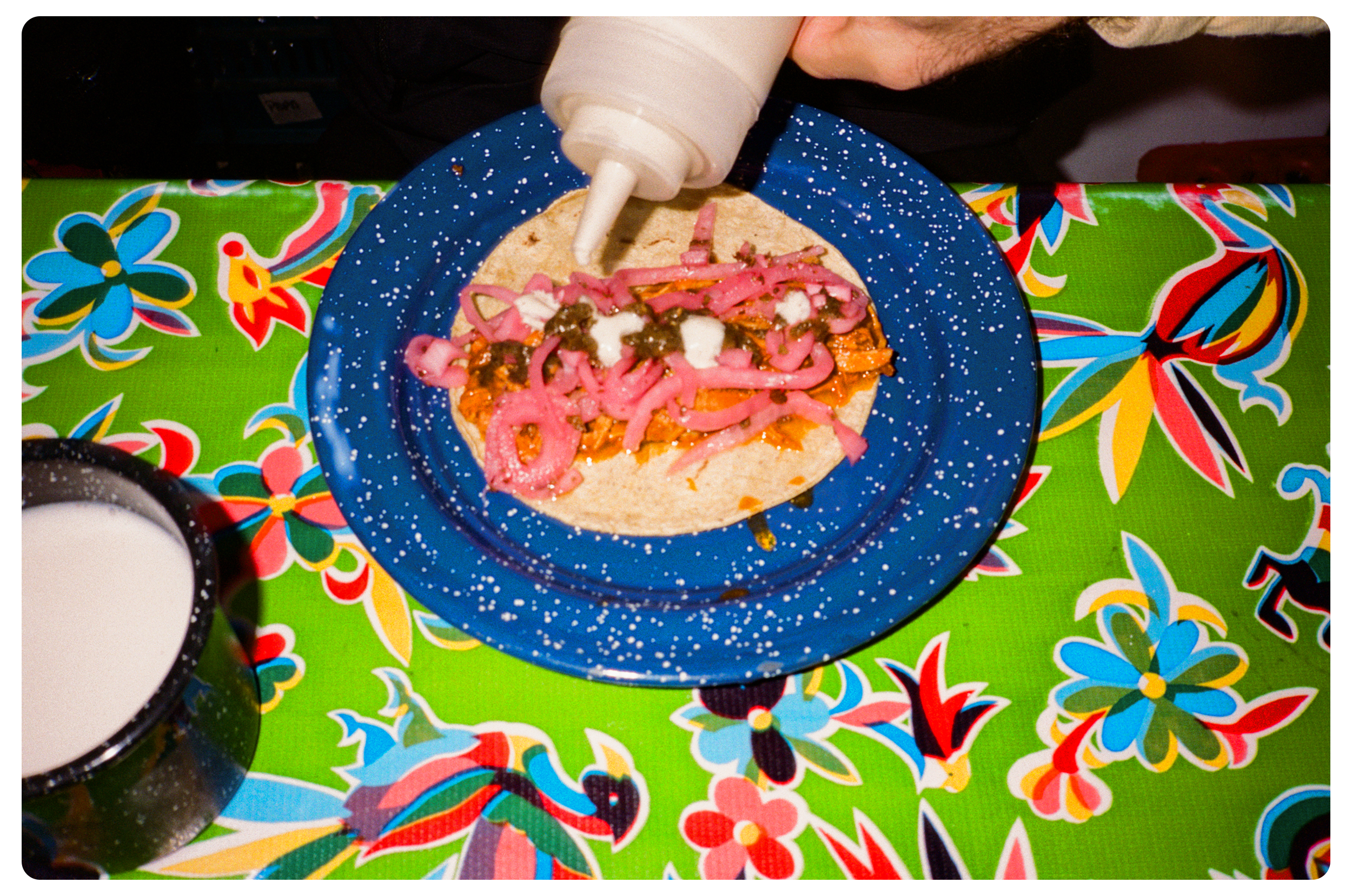A blue speckled plate with a taco topped with pink pickled onions, a sauce, and some brown seasoning, on a colorful floral tablecloth. A hand is squeezing a white condiment bottle over the taco, and a cup of milk is nearby.
