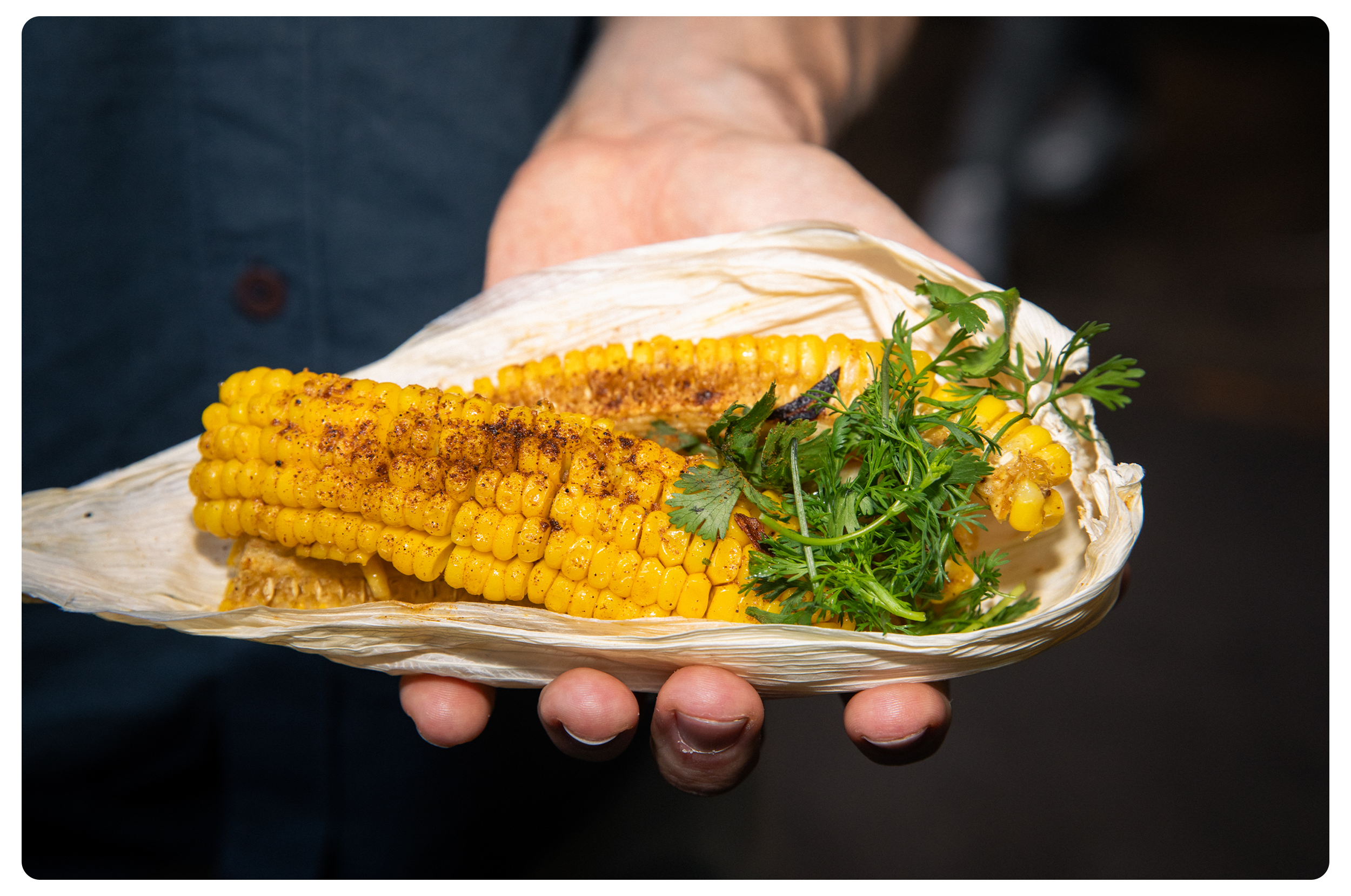 A hand holding a corn on the cob, seasoned with spices, garnished with fresh herbs, served on a piece of corn husk.