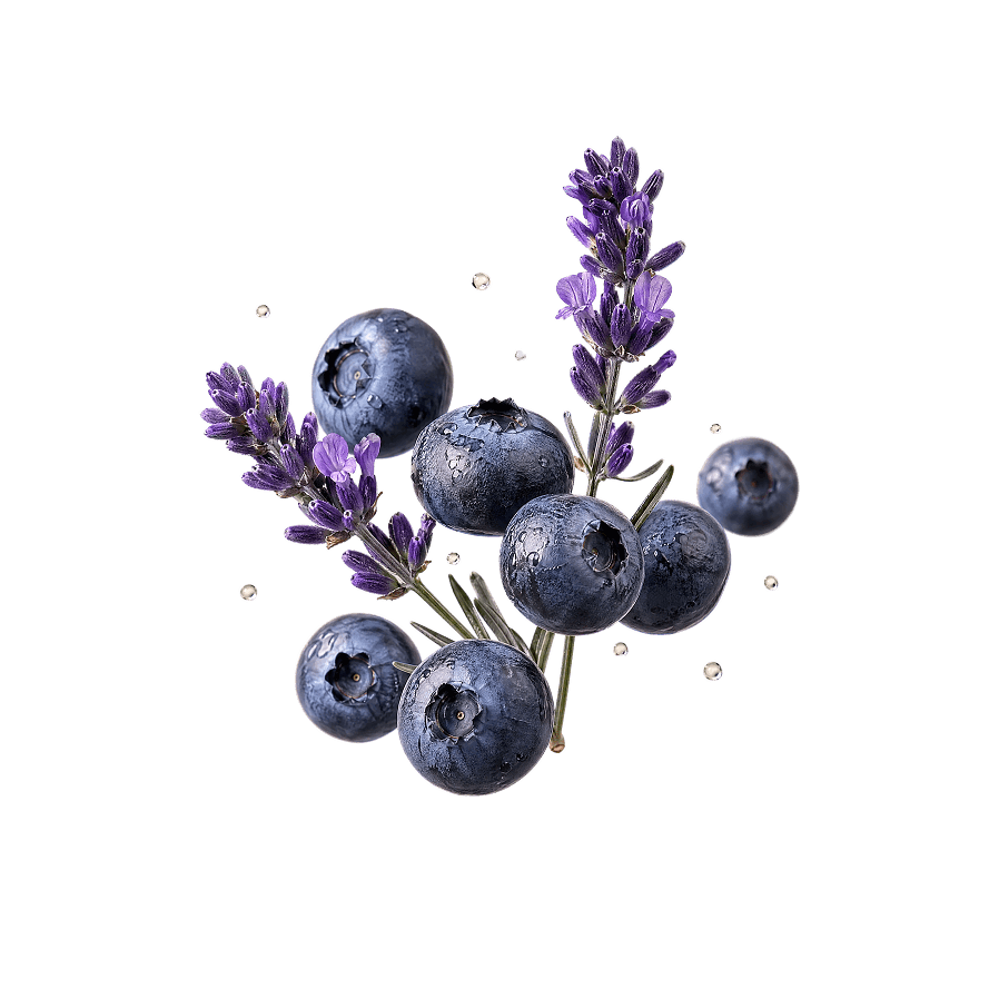Fresh blueberries and purple lavender flowers with water droplets on a black background.