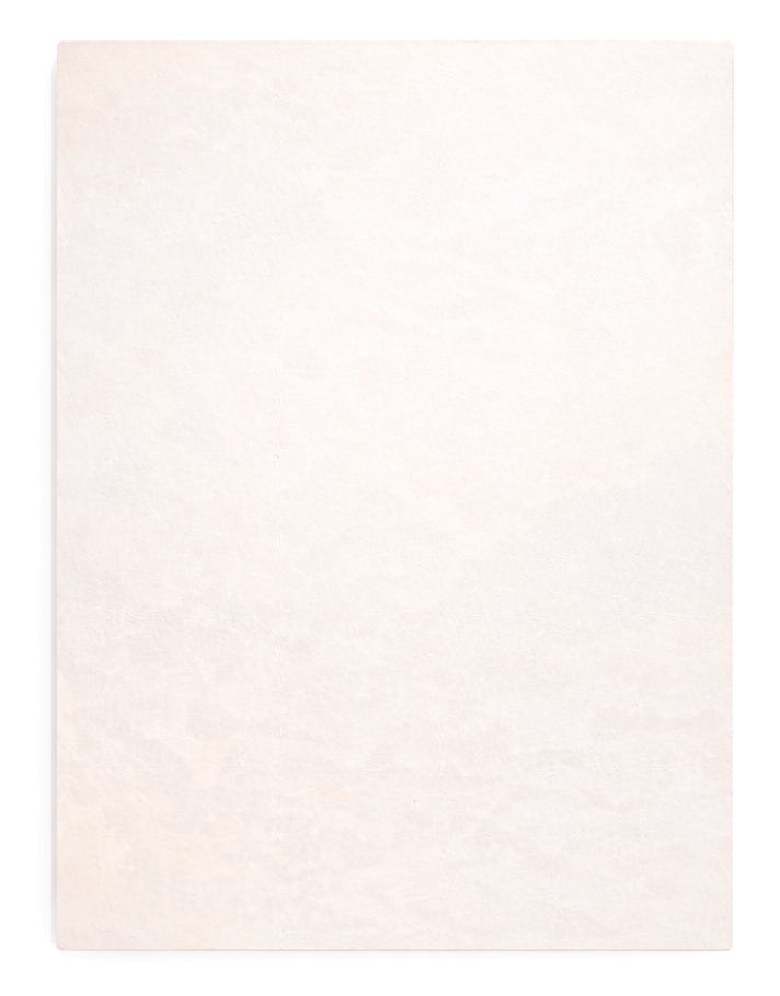 Blank white sheet of paper.
