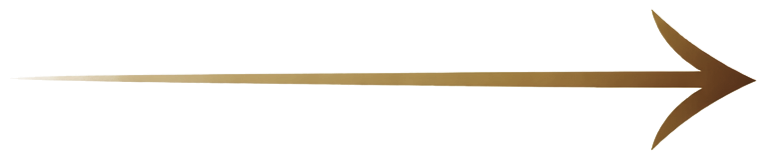 Close-up of a sharpened wooden pencil.