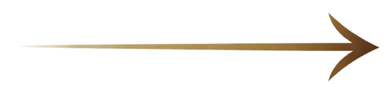 Close-up of a long, wooden spear with an arrowhead and tail fin.