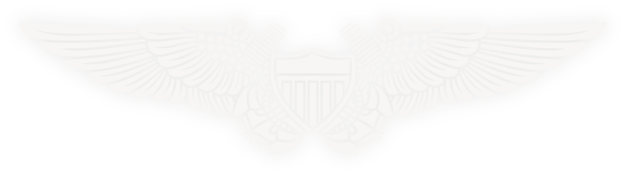 A metallic badge with wings, a shield in the center, and an eagle holding a bundle of arrows and an olive branch.