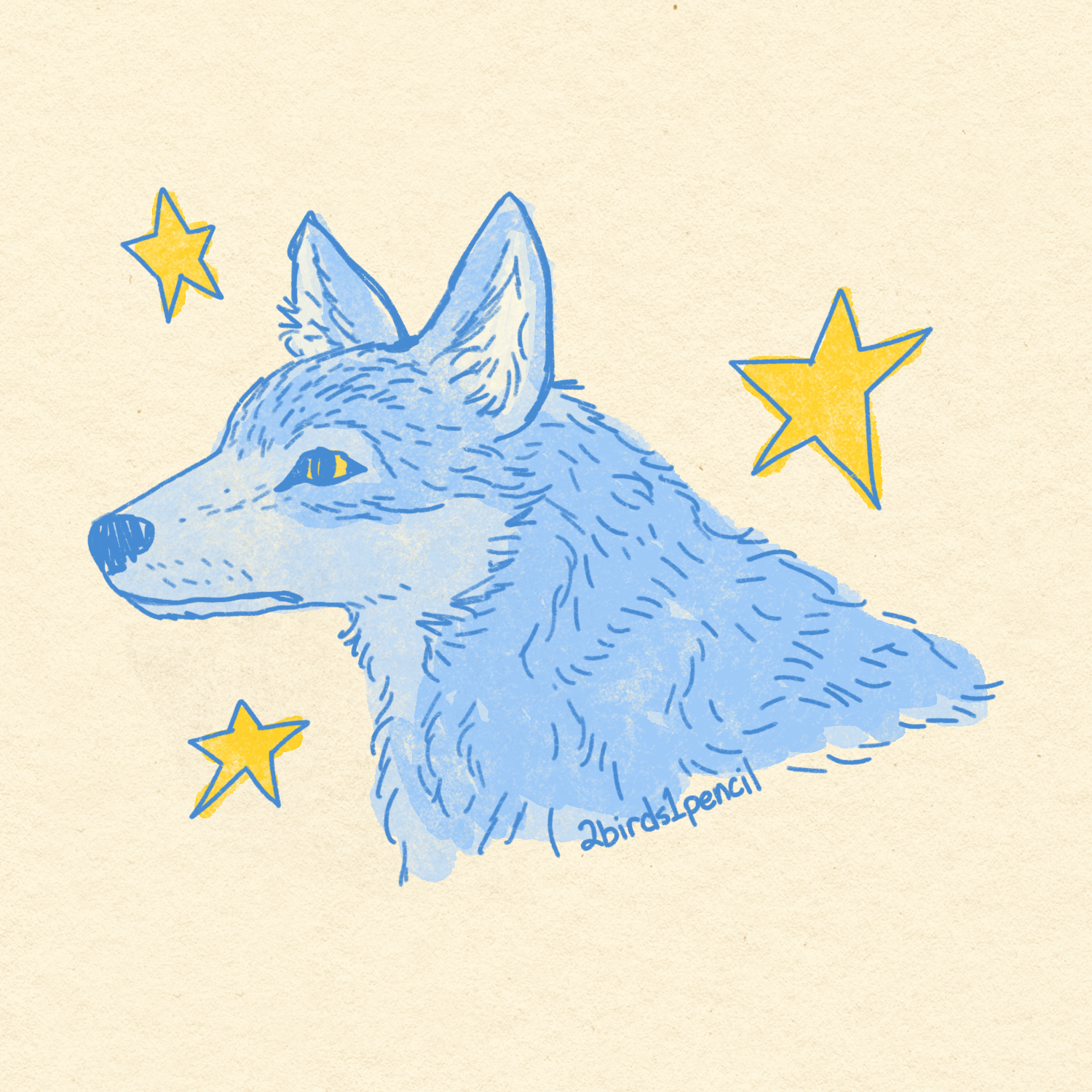 A digital illustration of a wolf's head, in a pencil with watercolor style. They are in profile and looking to the left. Around them are three cartoony yellow stars.