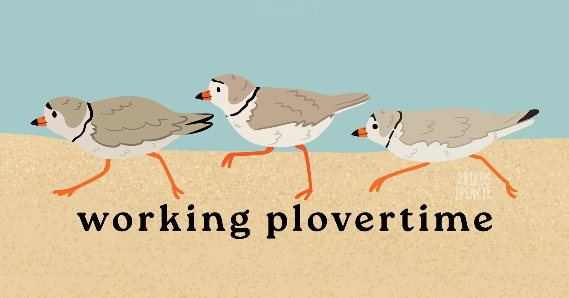 A digital illustration of three piping plovers, all in profile and running to the left across a sandy beach. Text beneath them reads, "working plovertime".