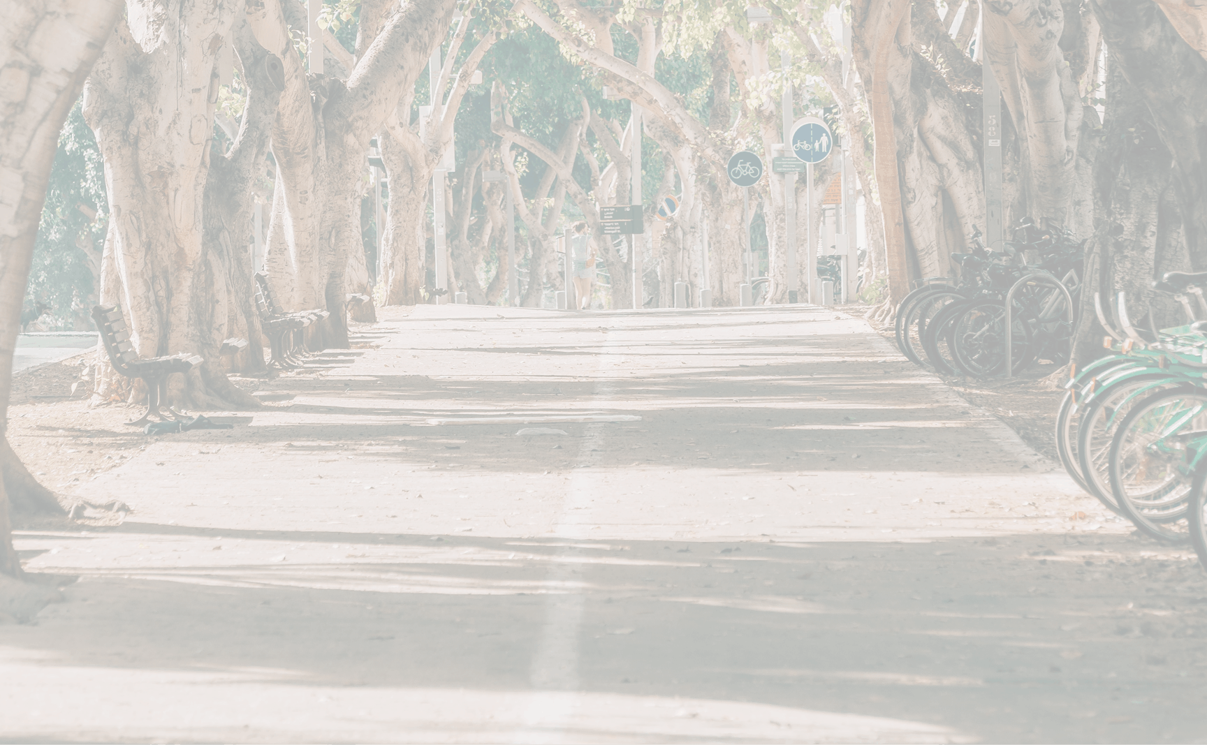 A park pathway shaded by large trees with benches along the sides and bicycle racks to the right, pedestrian and bicycle signs visible in the background.