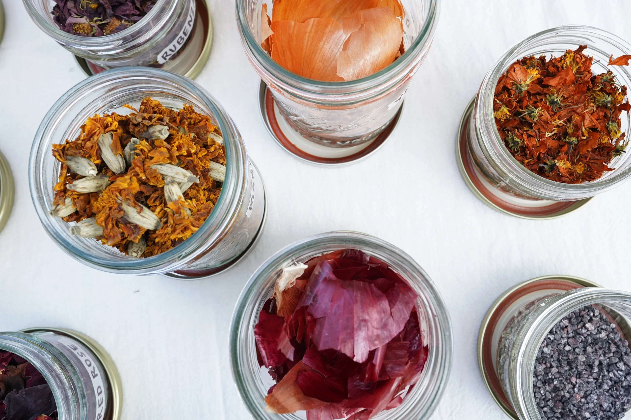 Collection of glass jars filled with dried herbs, flowers, and spices on a white surface.