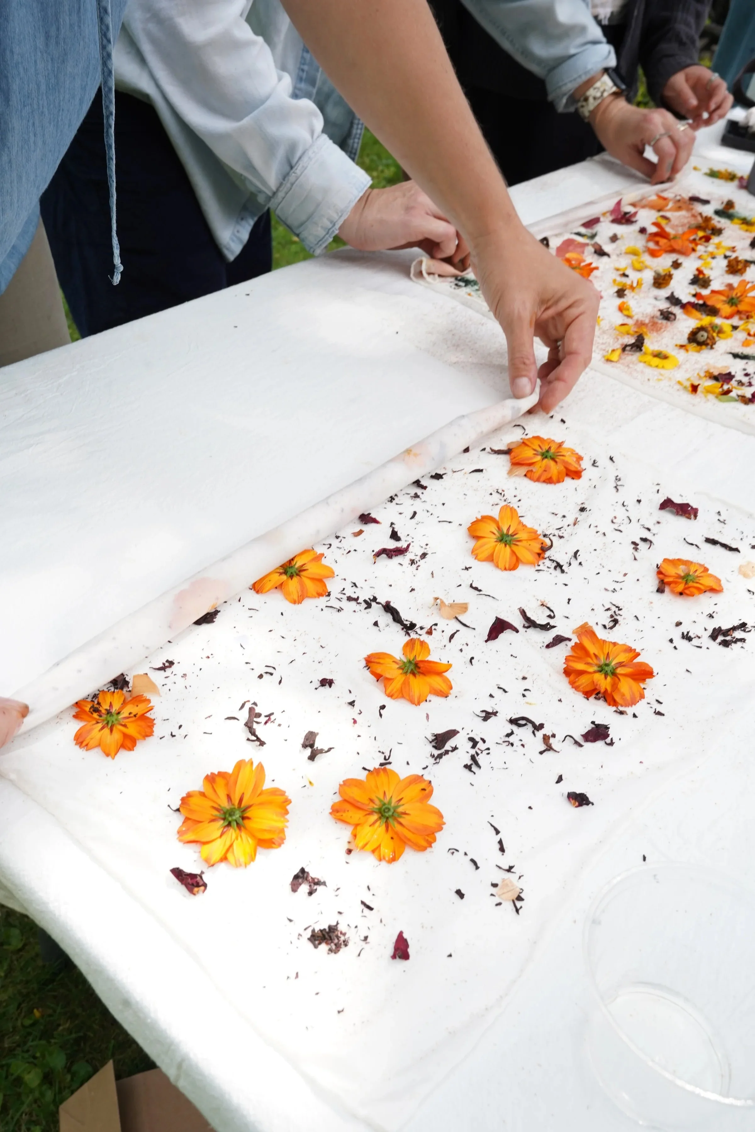 People preparing a floral arrangement on white fabric with orange flowers and dark and light petals.