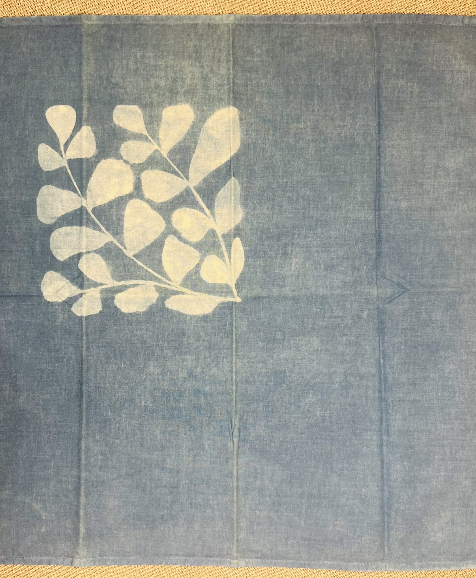IMG_4519.JPEG