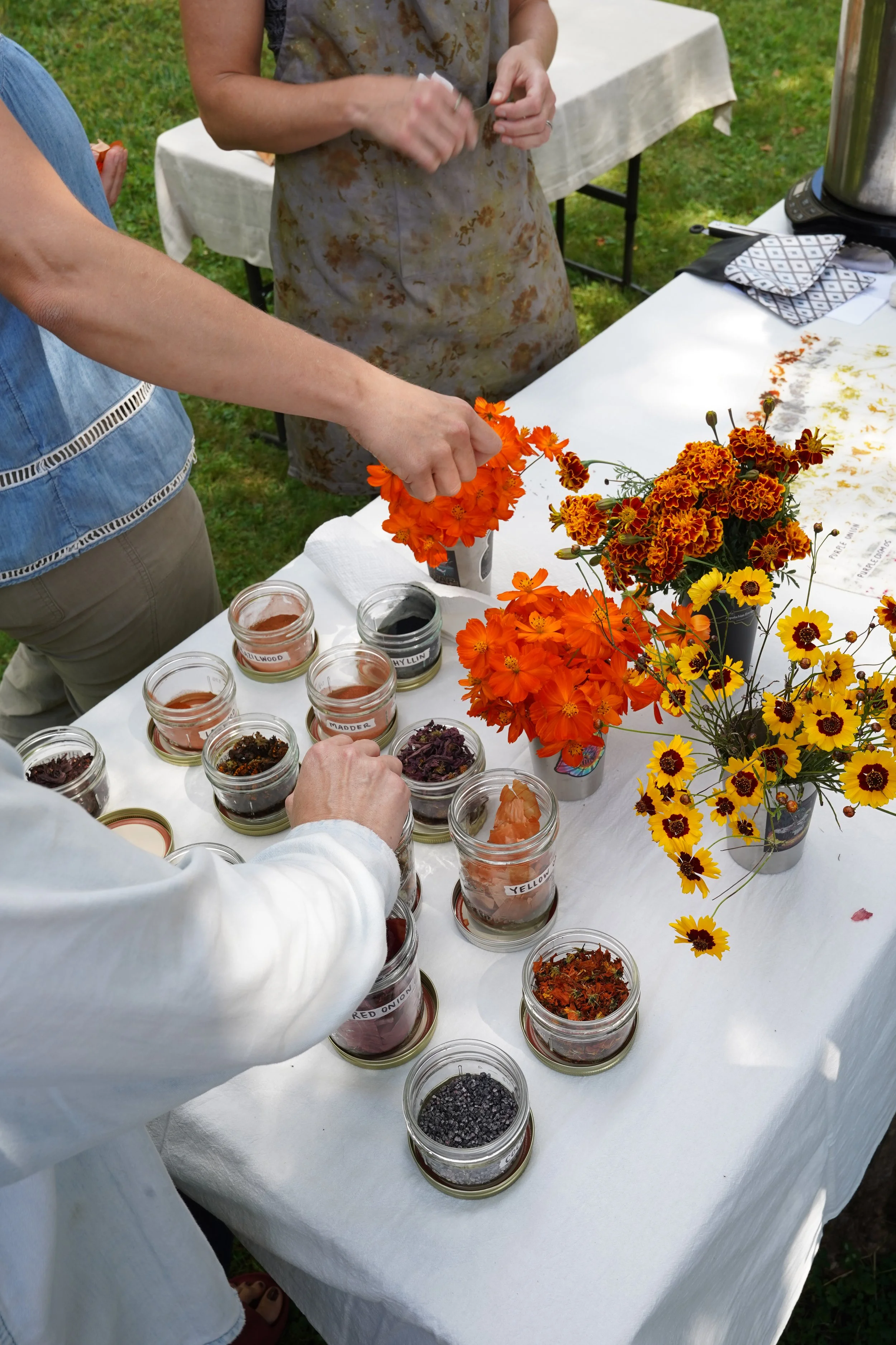 People arranging flowers with jars of colored dyes on a white table, with orange and yellow flowers in vases.