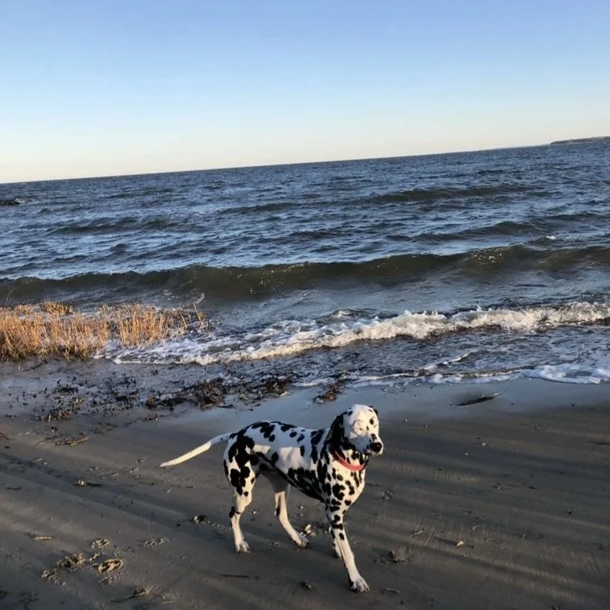 Sam