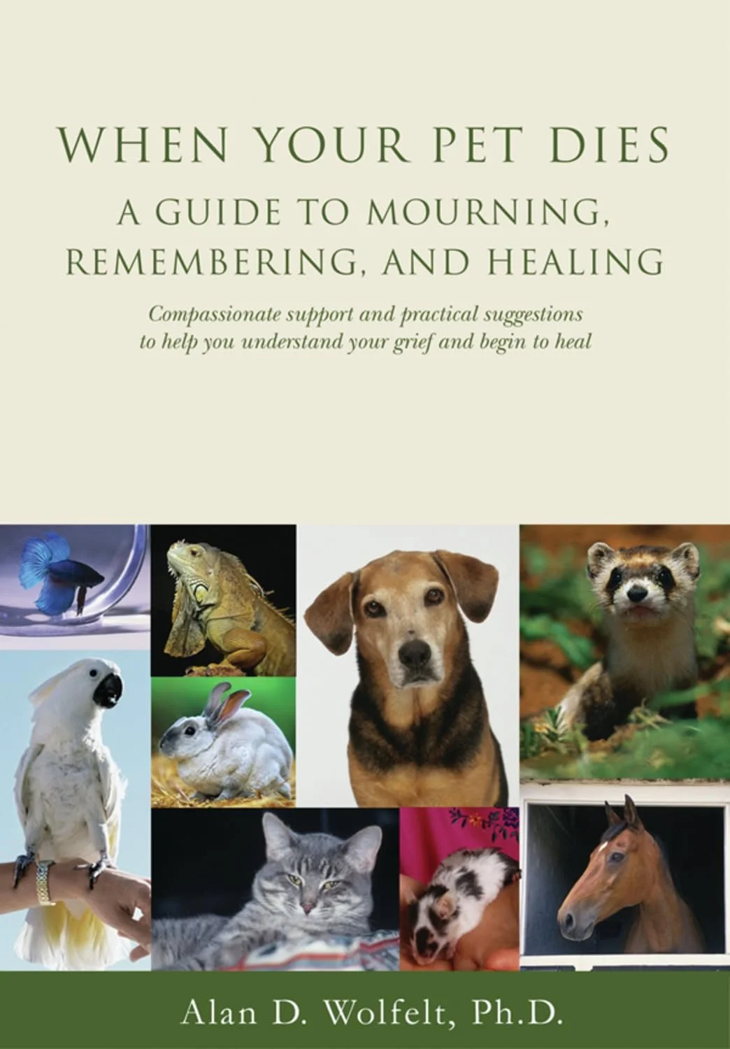 A compassionate guide that helps readers understand grief, honor their pet’s life, and find ways to move forward with remembrance.