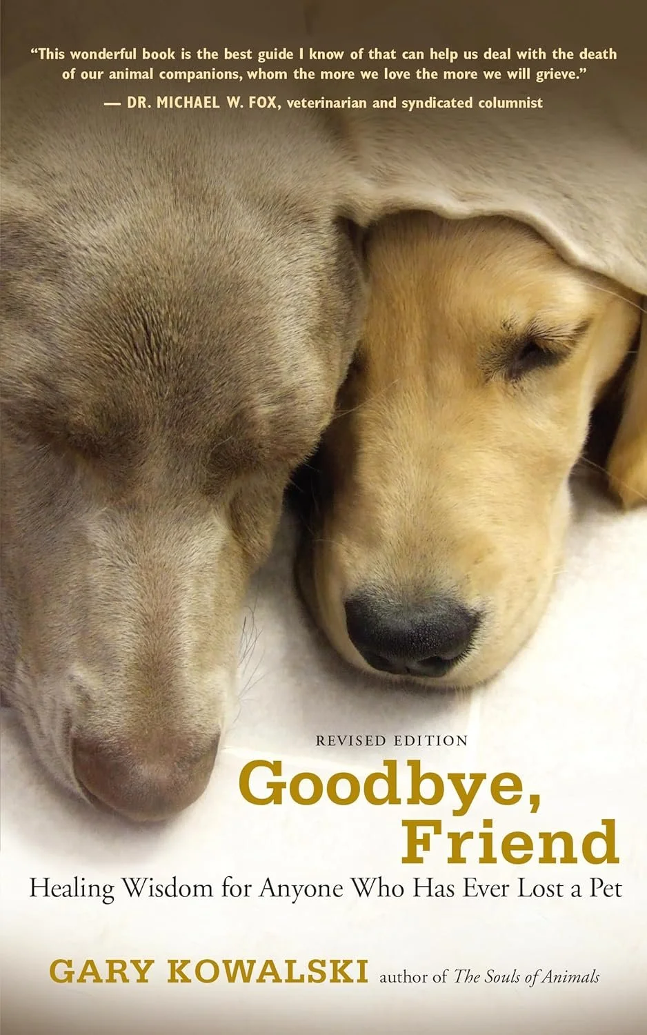 A compassionate guide offering comfort, perspective, and practical advice for coping with the loss of a beloved animal companion.