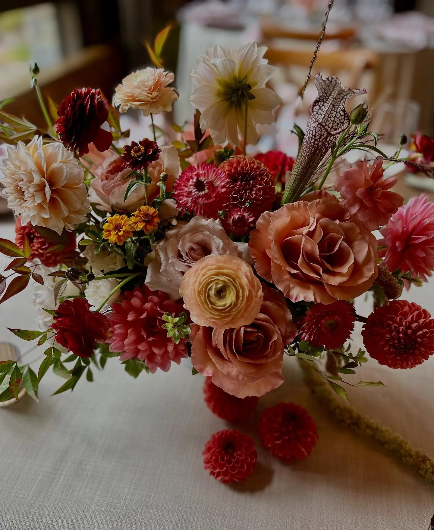 It's been a busy fall and we're not done yet. Just a sampling. I'll get to posting again soon!