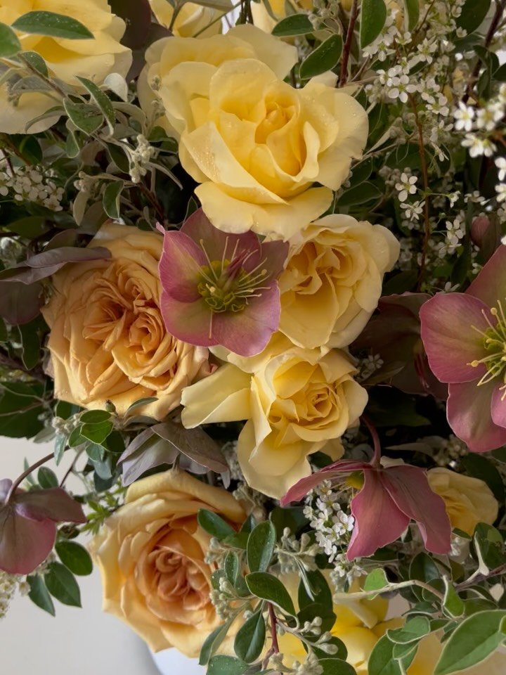 Celebrating spring. For Stone Barns