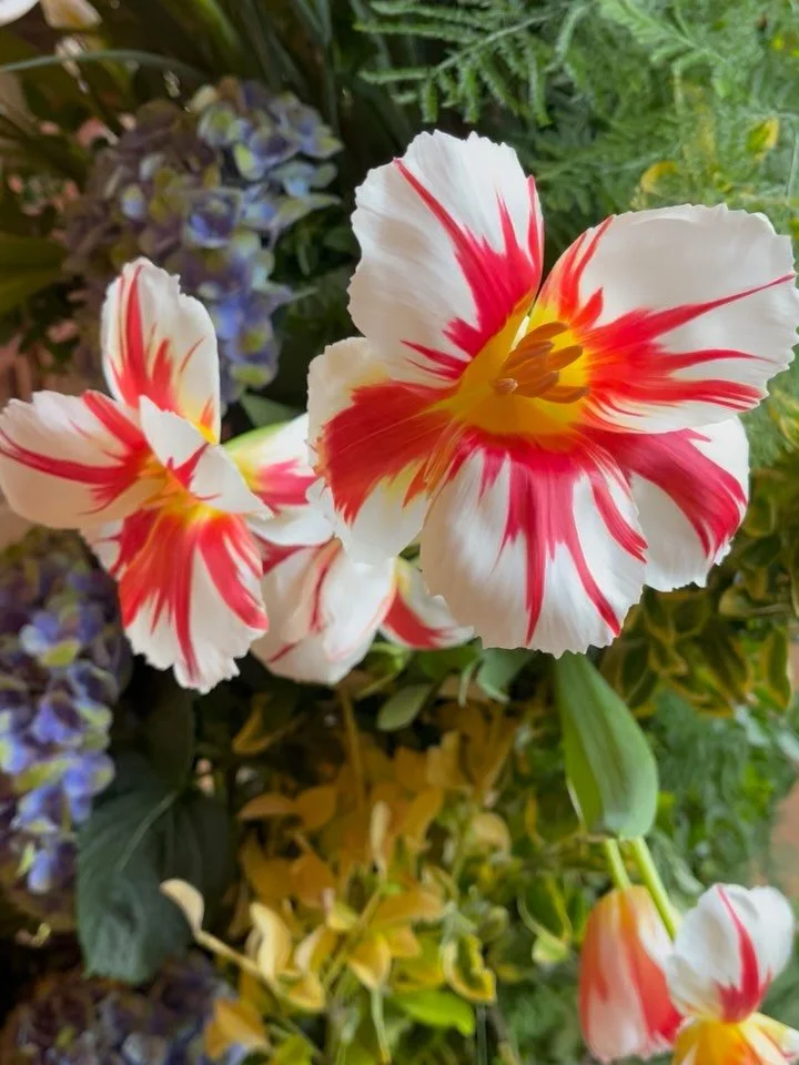 Tulip Fever 

Xoxo
@andresmoralesnyc 
@jjbanks54 
@yourchuppahny 
@mayaaaaaeng