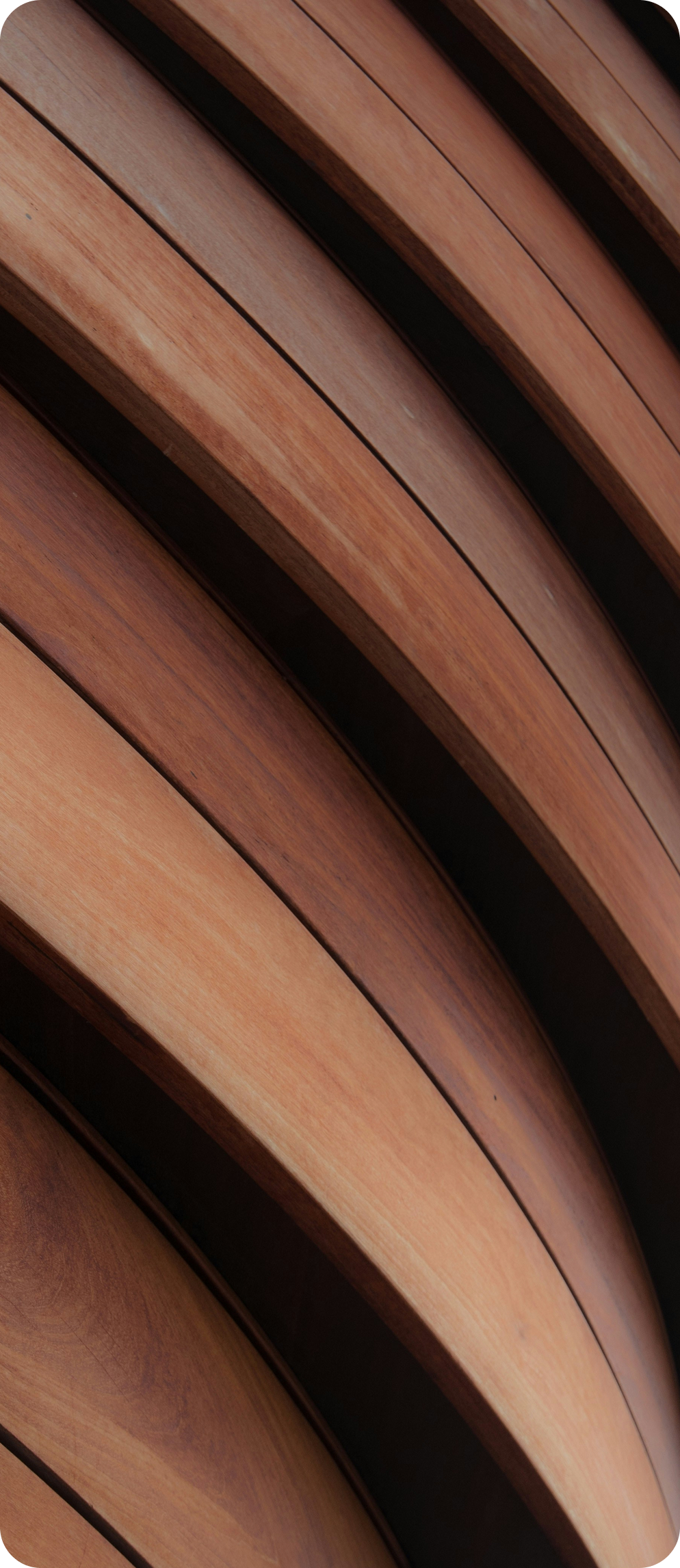 Close-up view of curved wooden slats with a polished finish.