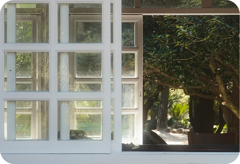 A large window with small square panes looks out onto a lush, green outdoor scene with trees and foliage, partly shaded.
