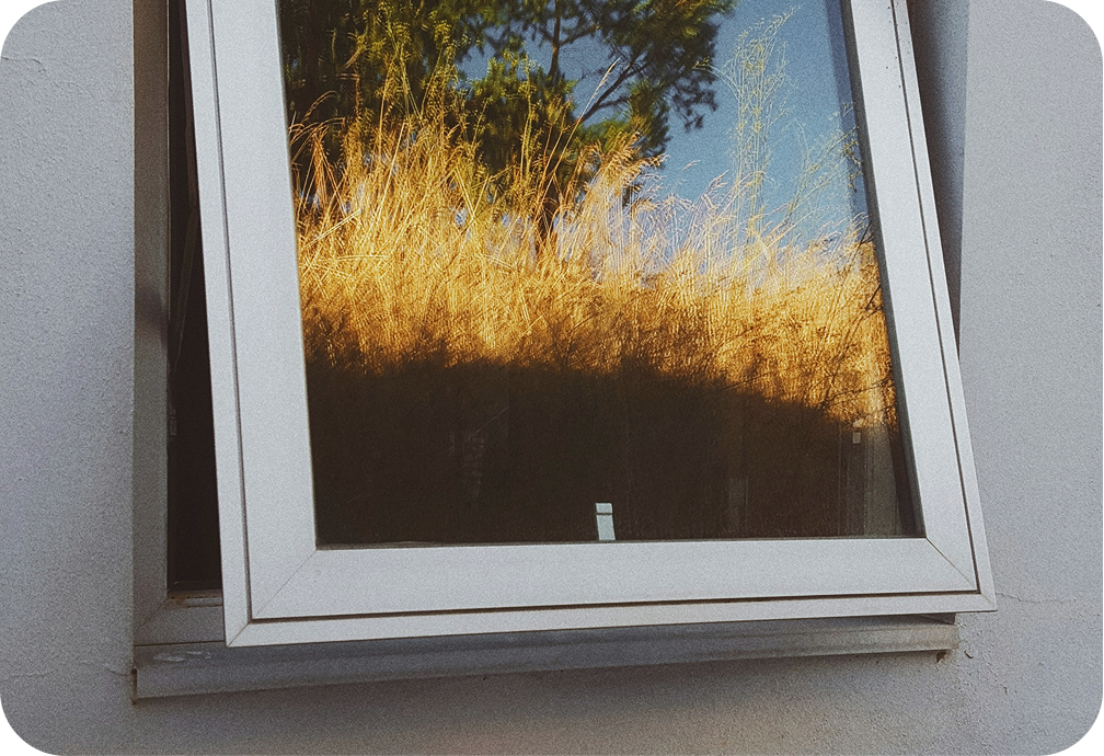 A window reflecting a blue sky, a tree, and tall yellow grass.