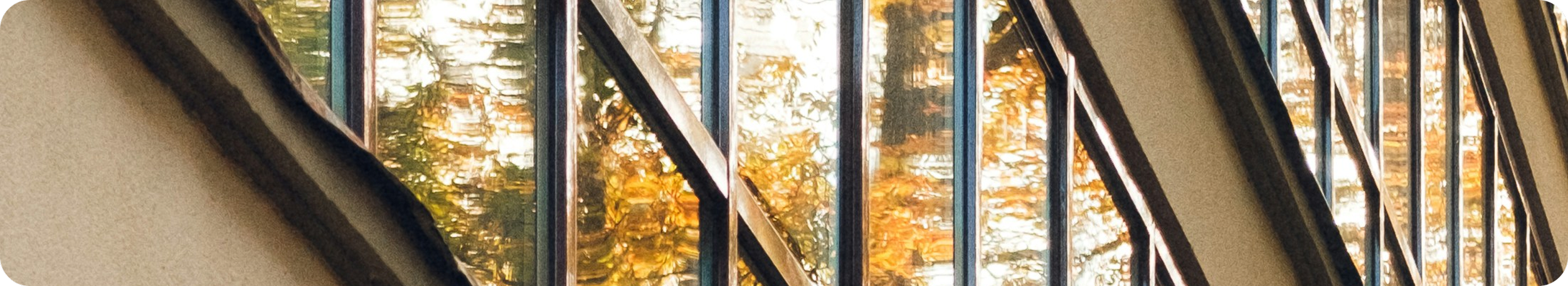 View through a circular window showing a reflected image of trees with yellow and green leaves and a building exterior.