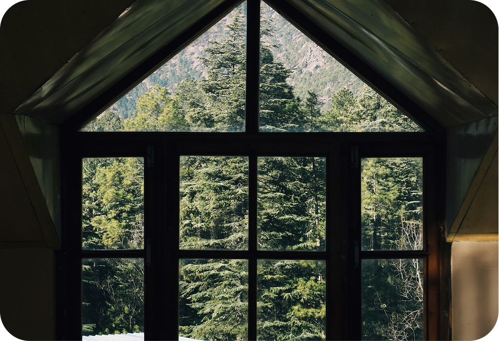 A view of a dense forest of pine trees through a large, multi-pane window with a triangular top.