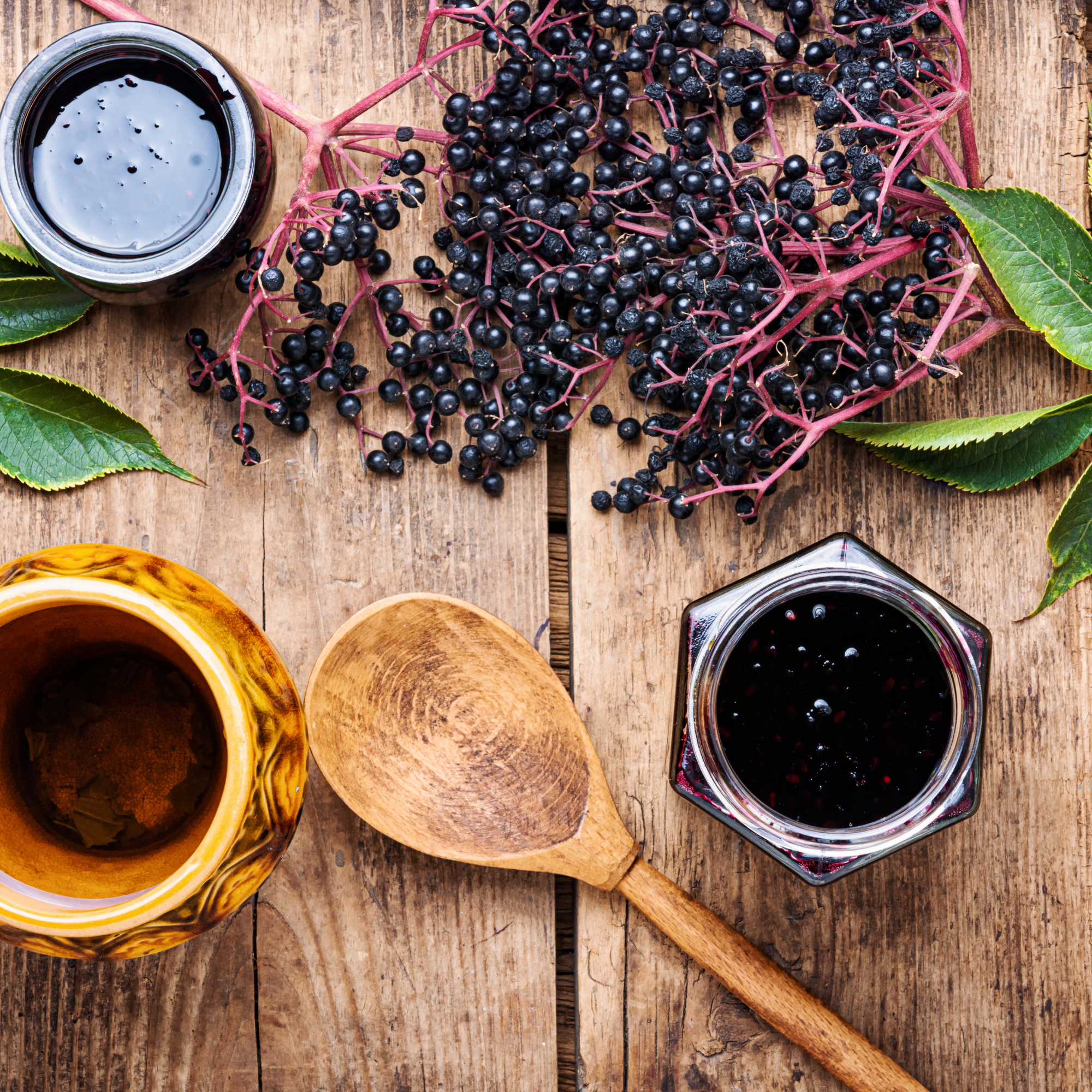 Elderberry Tincture