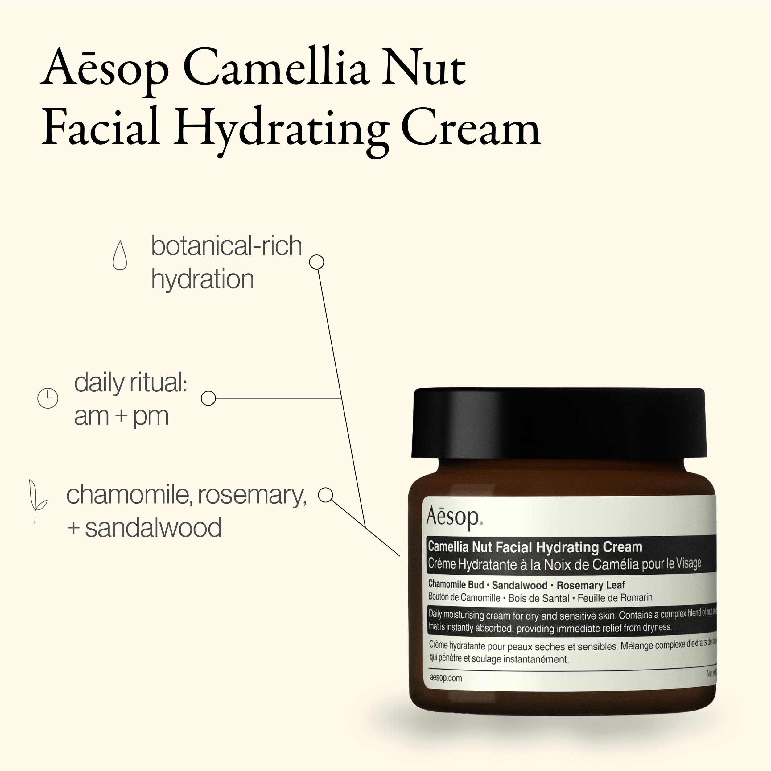 SAYN BEAUTY BRIEF-01.png