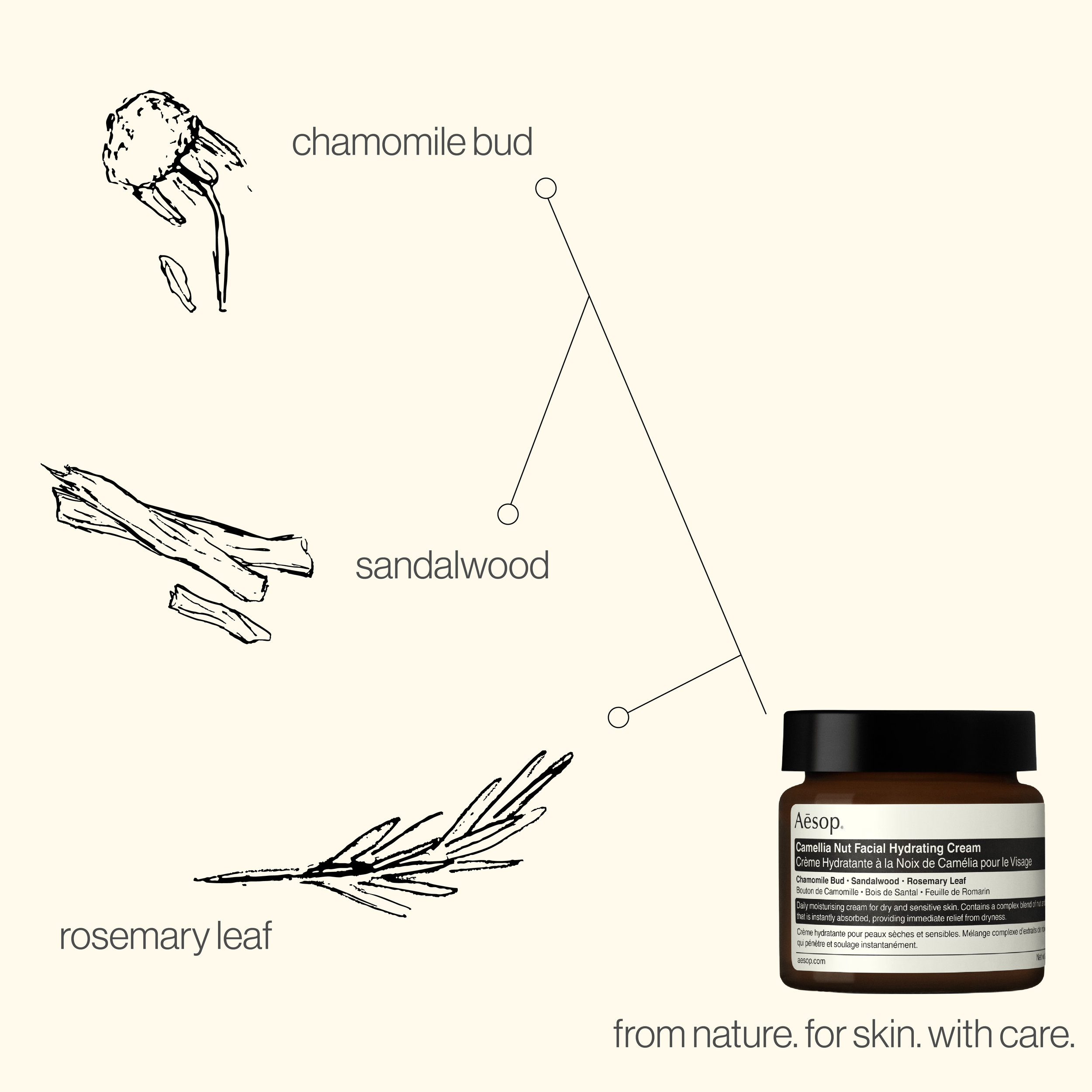 SAYN BEAUTY BRIEF-02.png