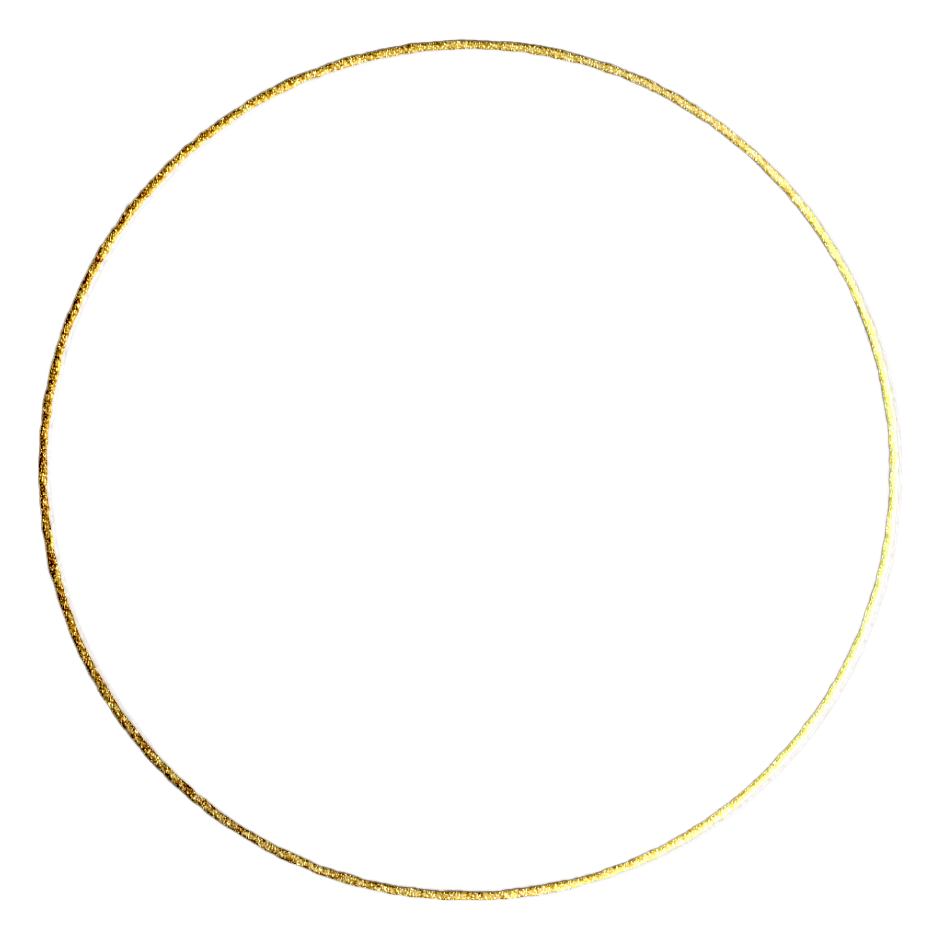 Close-up of a gold-rimmed white plate viewed from above.