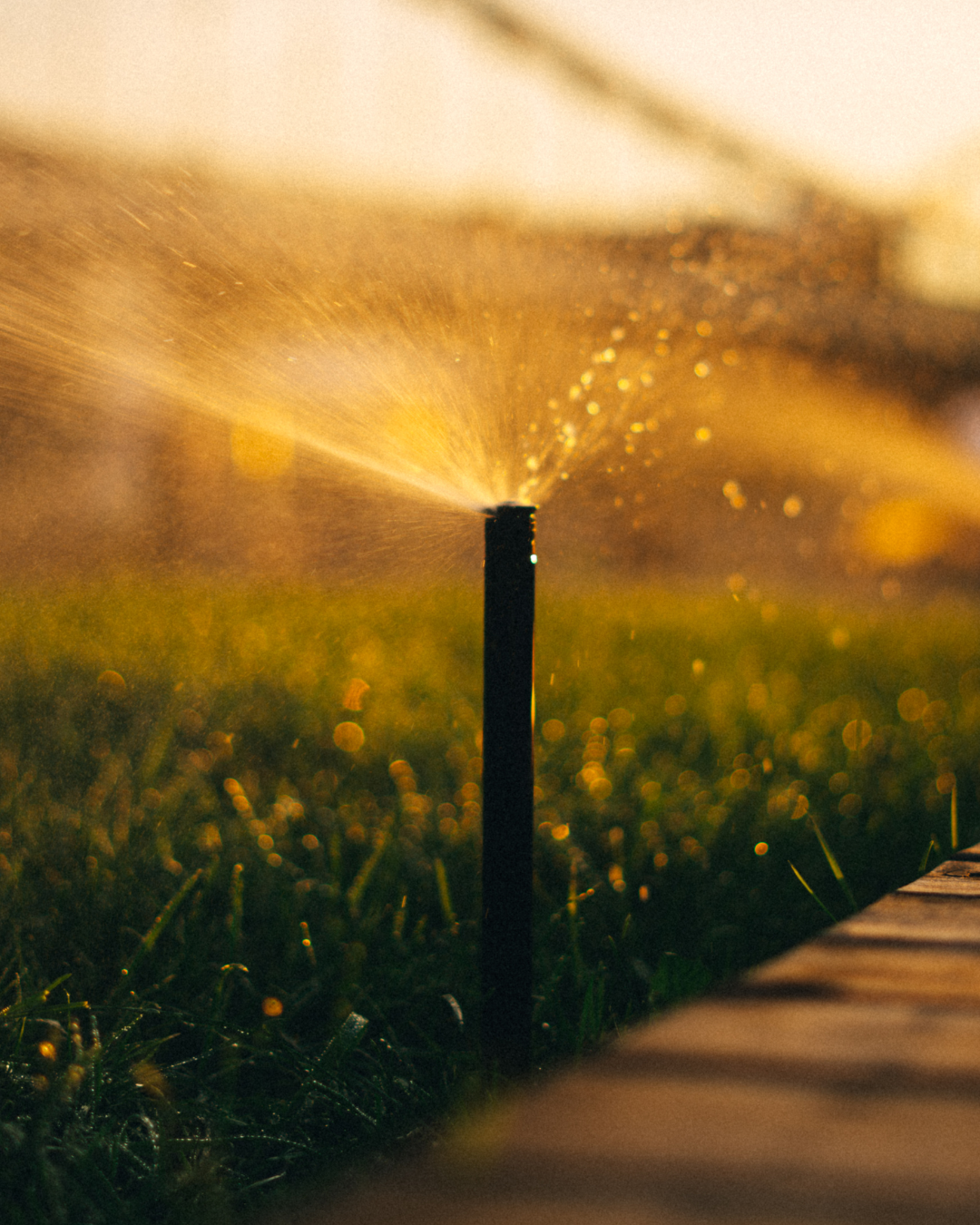 How to Tell If Your Sprinkler System Is Watering Enough in the Summer Heat
