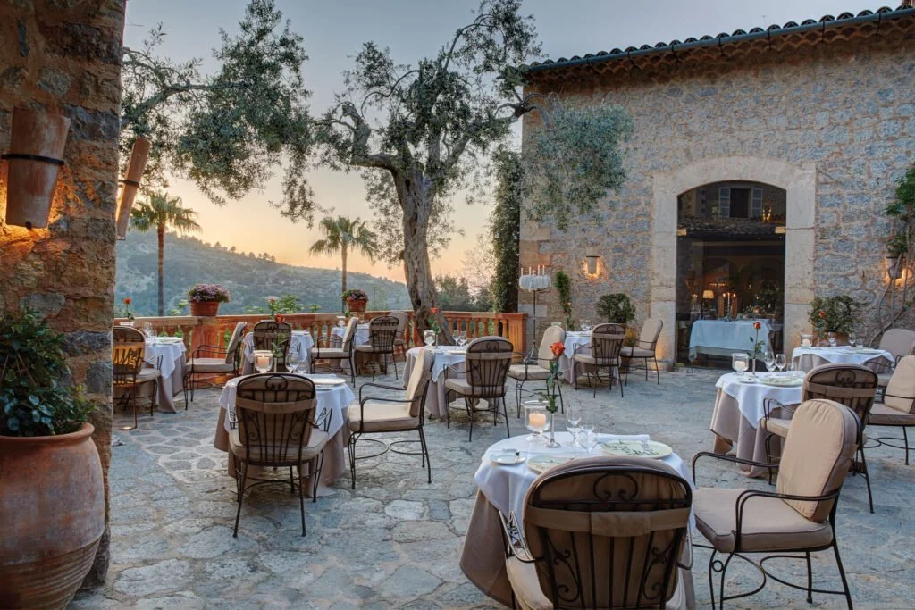 Outdoor dining setting under a large tree, with sunset sky in the background. Tables and chairs create a tranquil atmosphere, evoking a sense of relaxation.