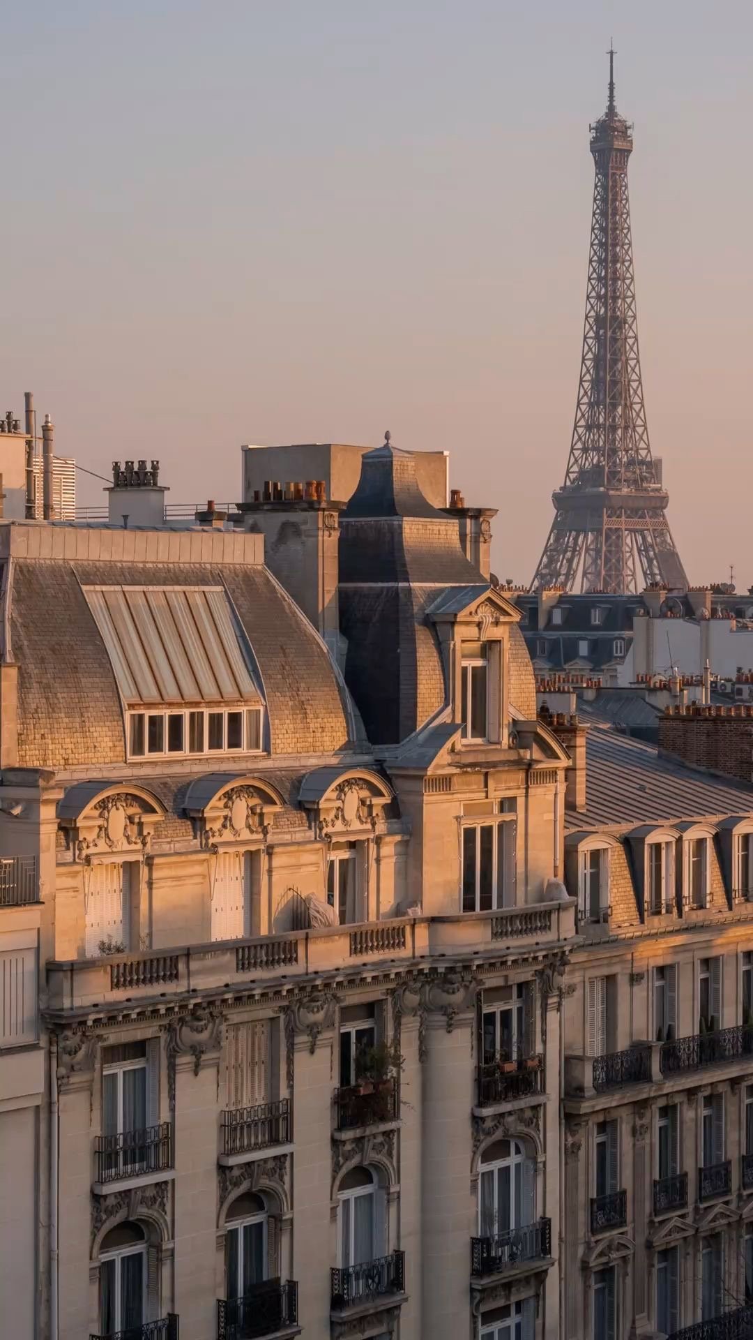 Rooftop view of Paris buildings at sunrise with the Eiffel Tower in the background.