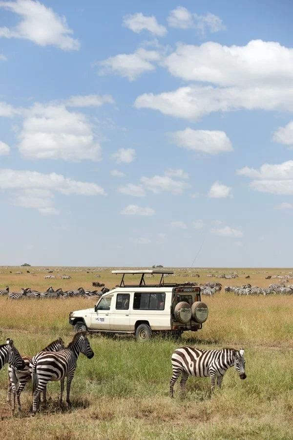 A safari vehicle is parked in an open grassland with zebras grazing nearby under a partly cloudy sky. 