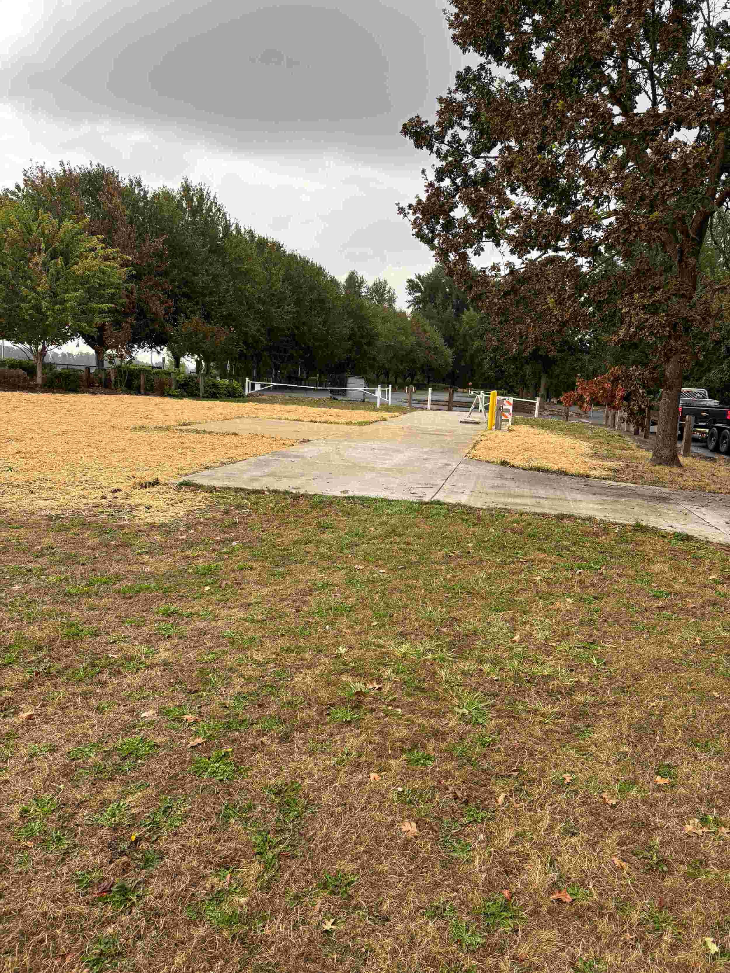 A park with a grassy area and a concrete sidewalk, trees with green and reddish leaves, cloudy sky, and a parking lot with black trucks in the background.