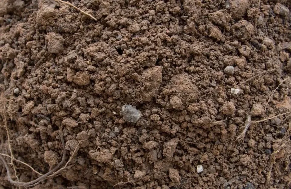 Foundry Construction LLC Dirt on Website